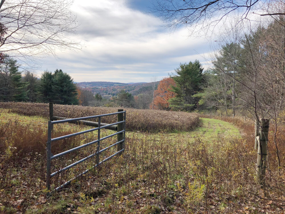 Hilltop-gate-to-property.jpg