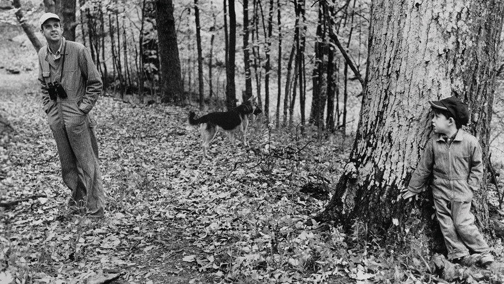 Wendell-Berry-hiding-behind-a-tree.jpg