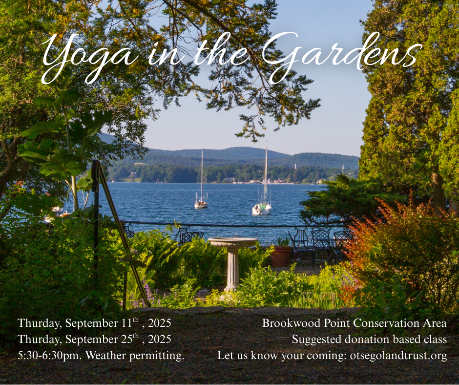Yoga in the Gardens