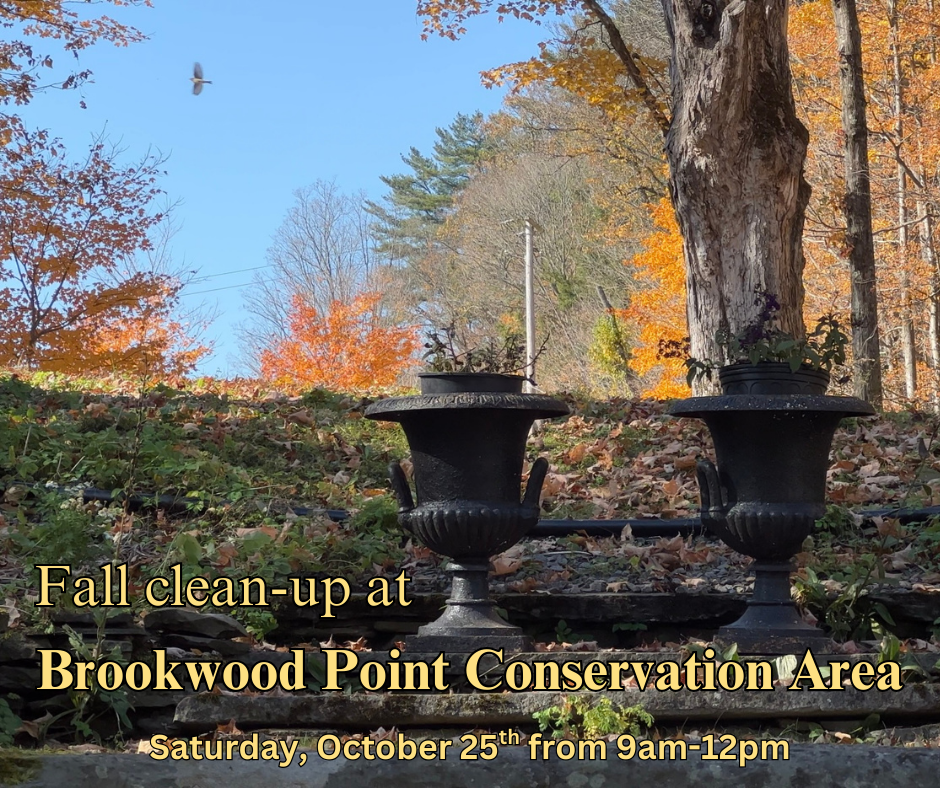 Brookwood Garden Annual Clean-Up