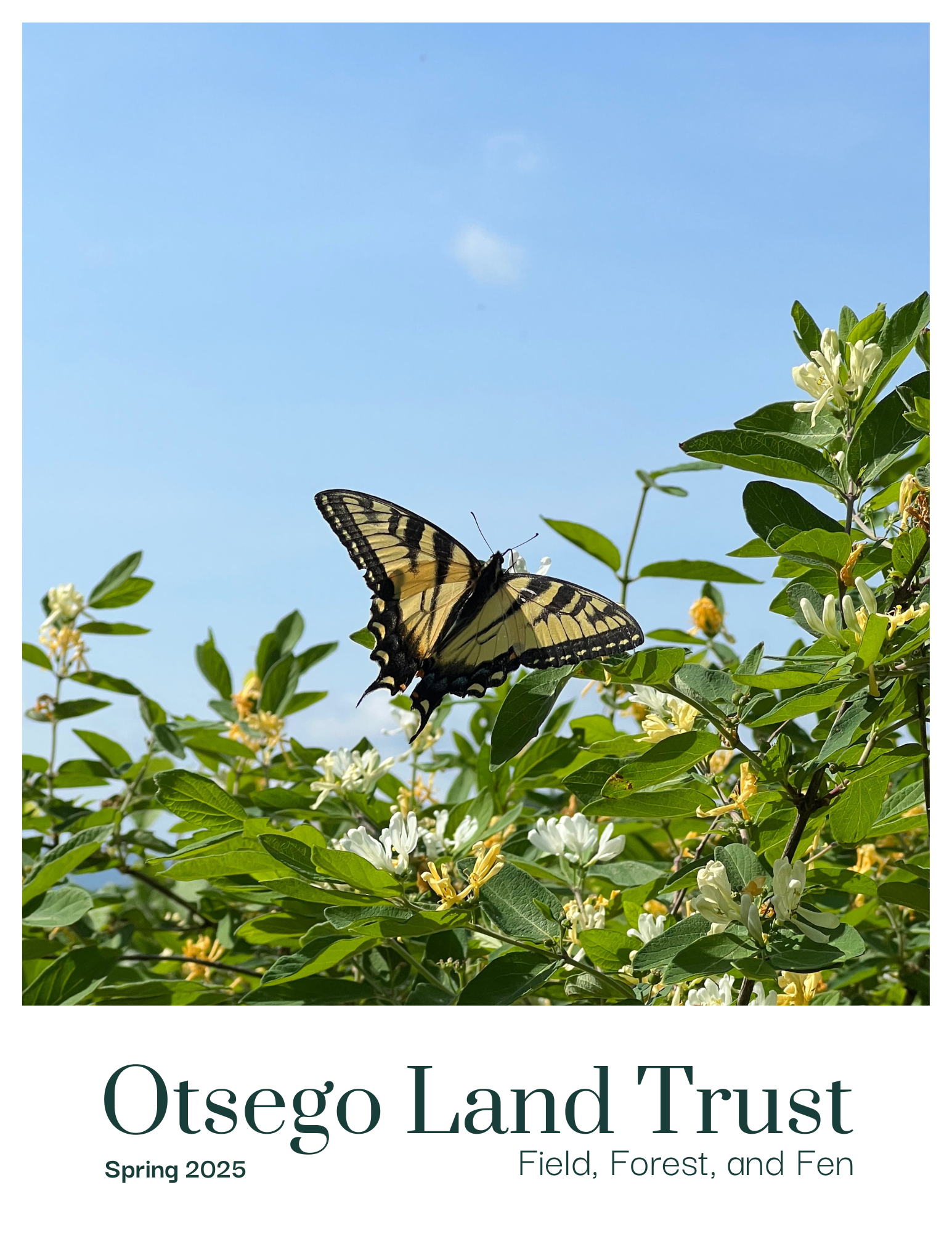 Spring 2025 Newsletter