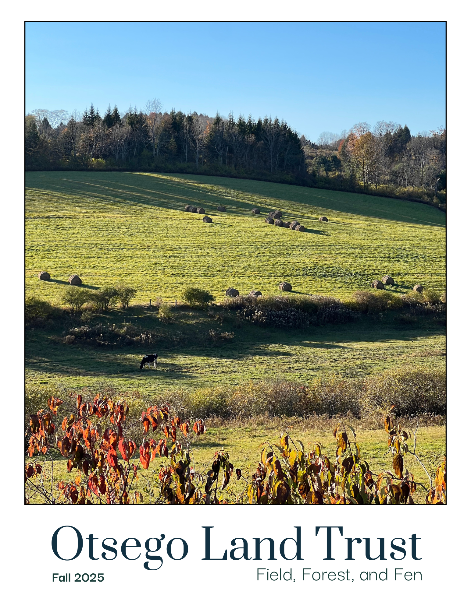 Fall 2025 Newsletter