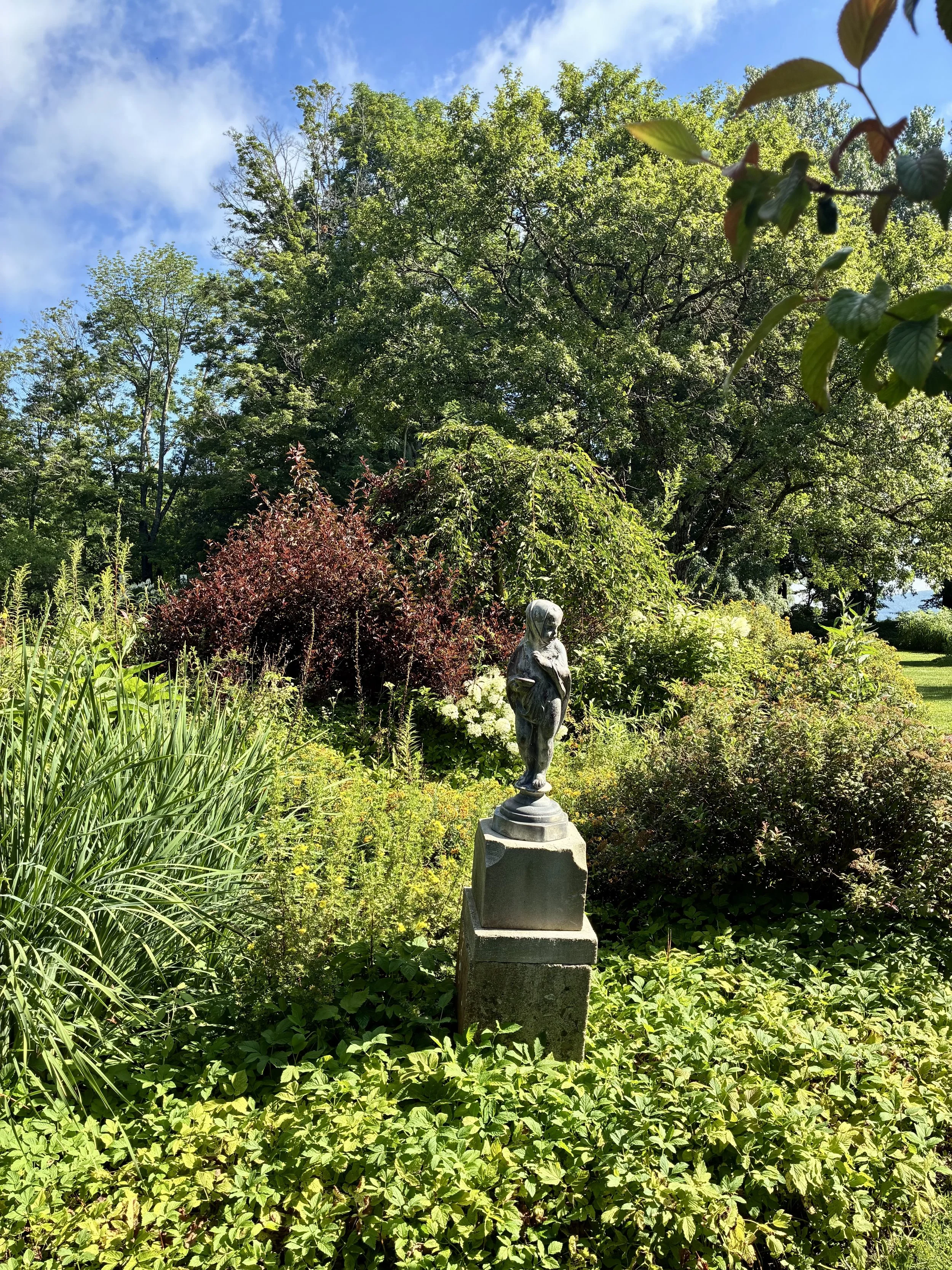 IMG_6137.jpeg