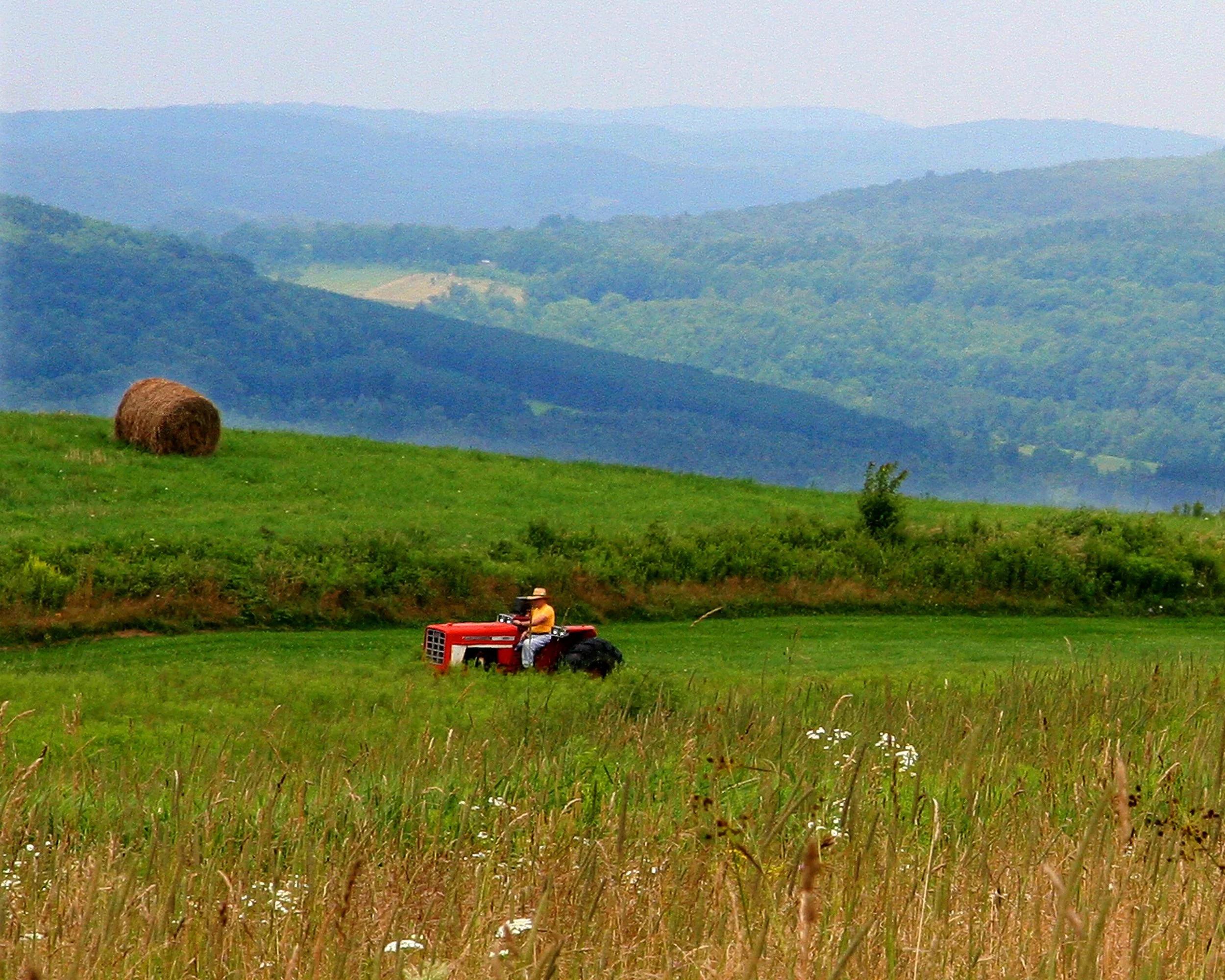 Marjorie Rogers_redtractor.jpg