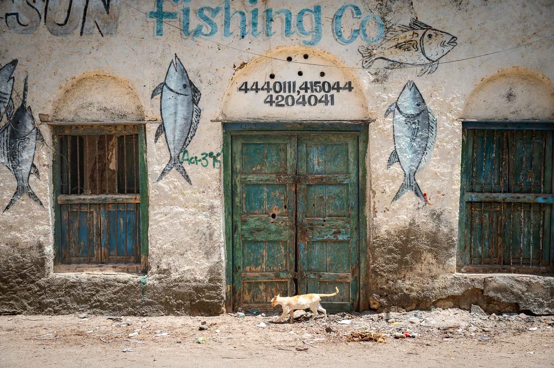 Ethiopia Somaliland Yngwie Scheerlinck Yngwix-257.jpg