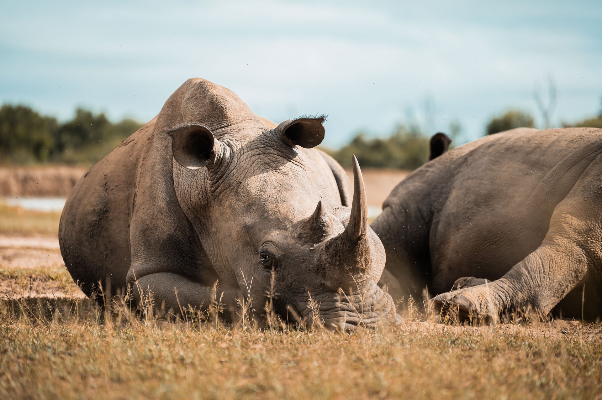 lesotho Yngwie Scheerlinck Yngwix-26.jpg