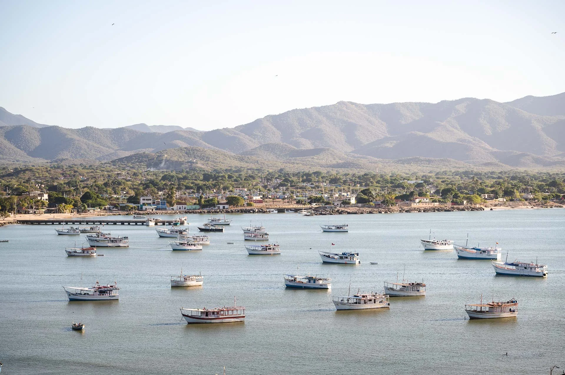 Venezuela Yngwie Scheerlinck Yngwix-21.jpg