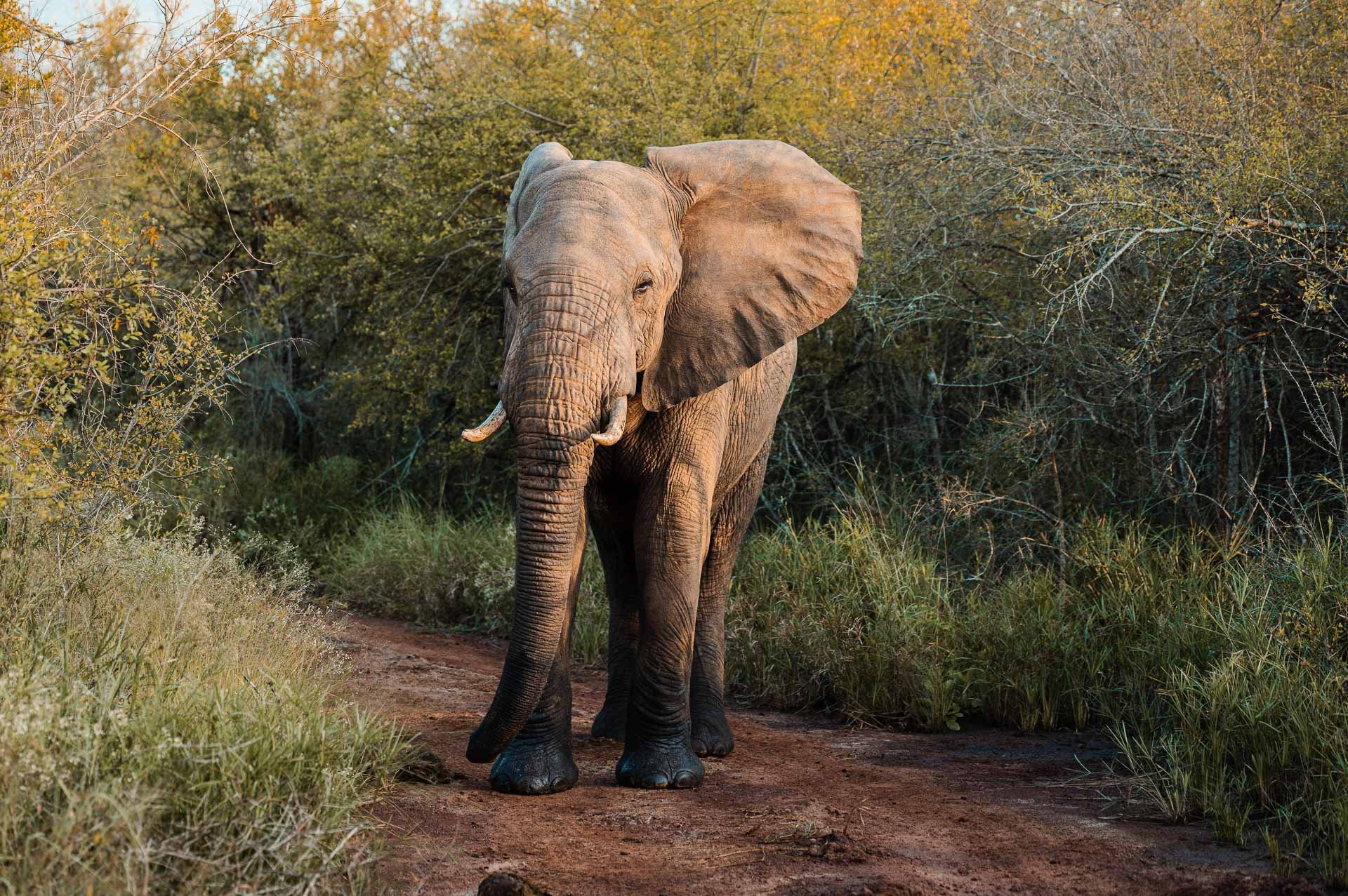 lesotho Yngwie Scheerlinck Yngwix-23.jpg