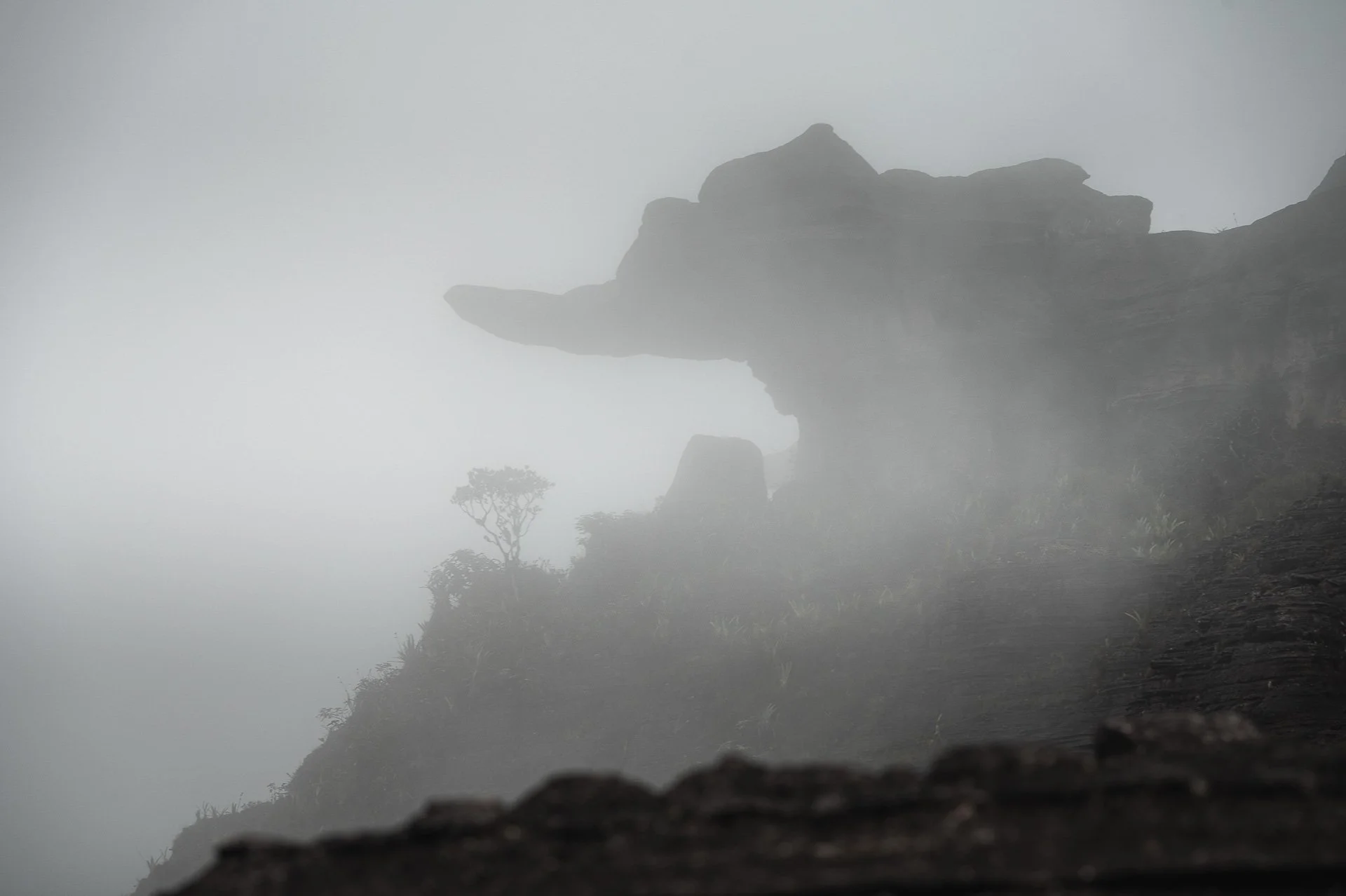 Venezuela Yngwie Scheerlinck Yngwix-83.jpg