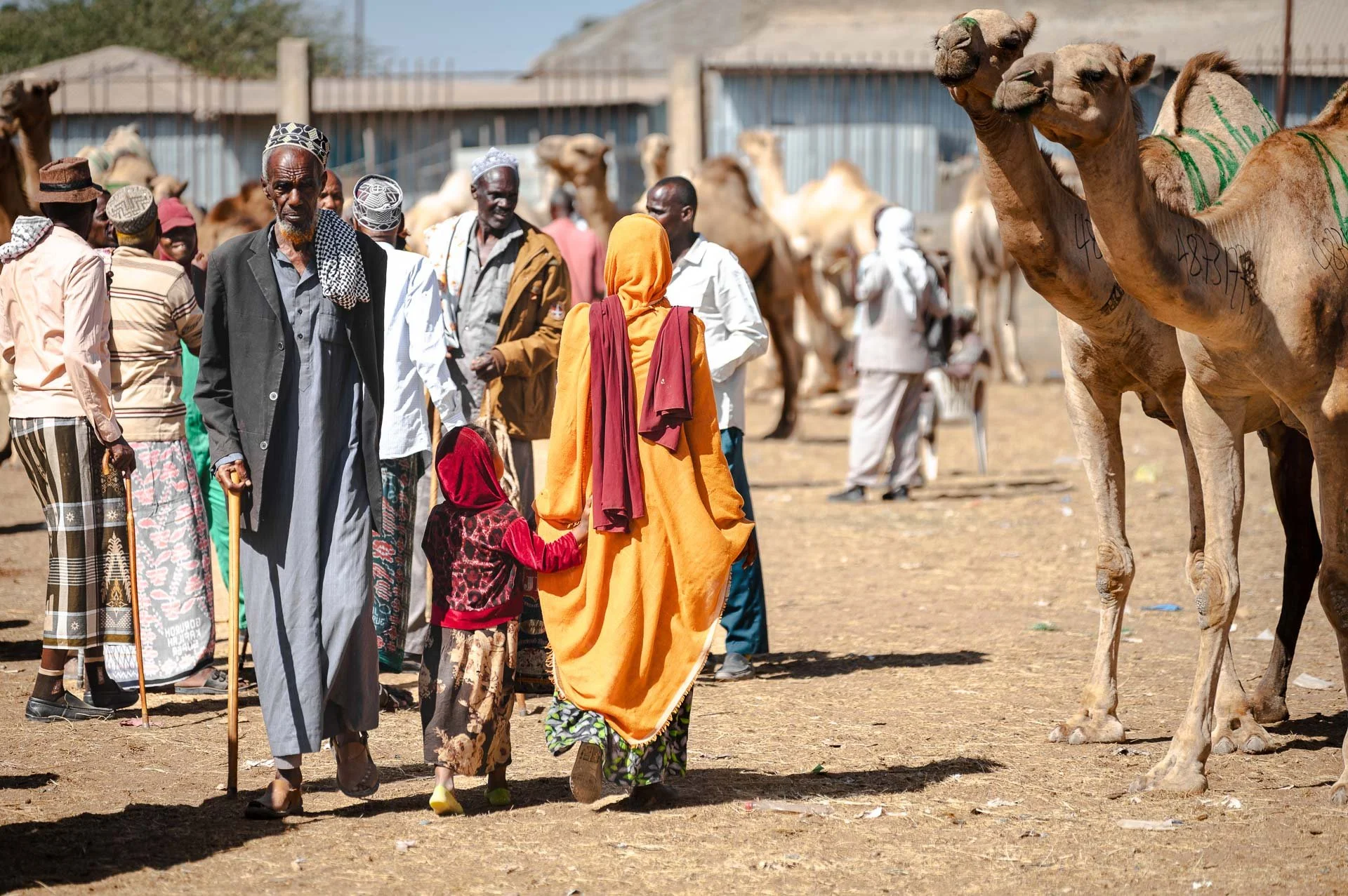 Ethiopia Somaliland Yngwie Scheerlinck Yngwix-182.jpg