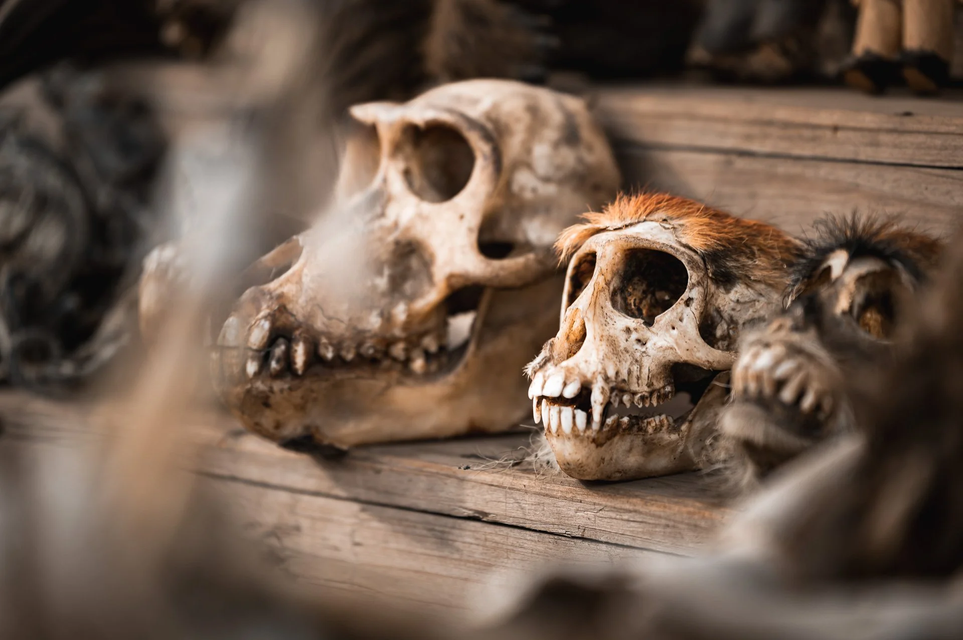 Togo Benin Yngwie Scheerlinck Yngwix-3.jpg