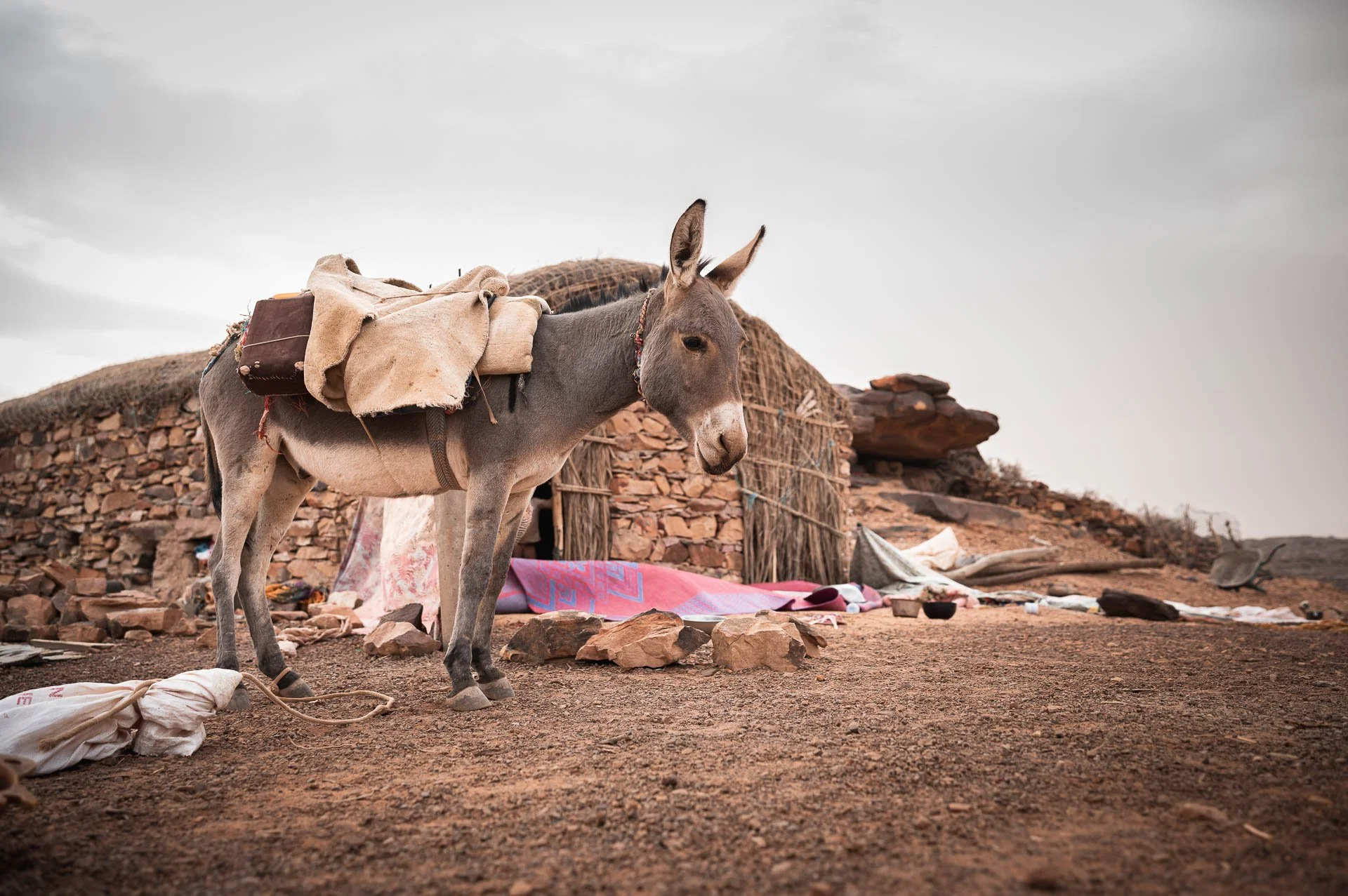 Mauritania Yngwie Scheerlinck Yngwix-49.jpg