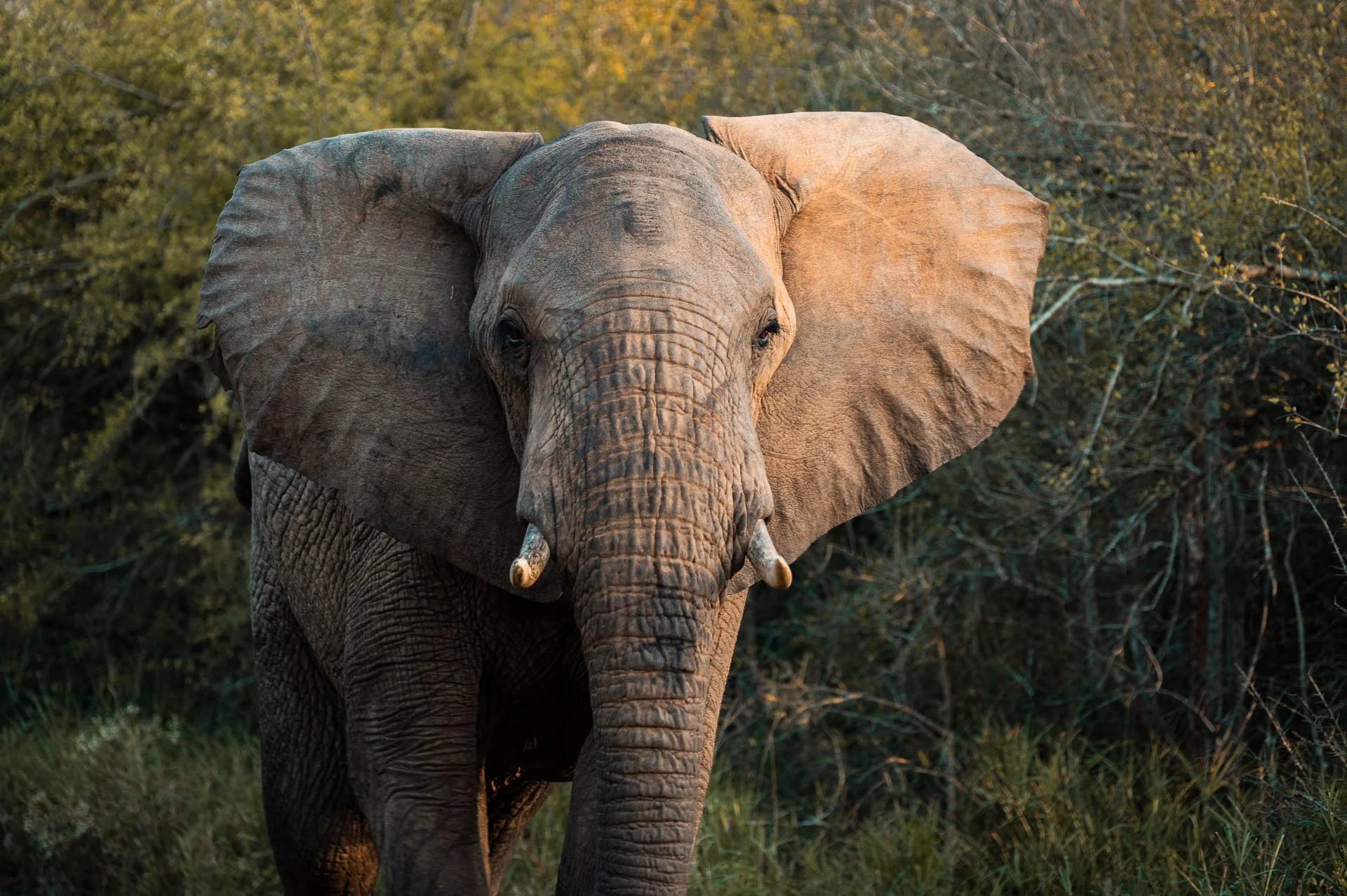 lesotho Yngwie Scheerlinck Yngwix-24.jpg