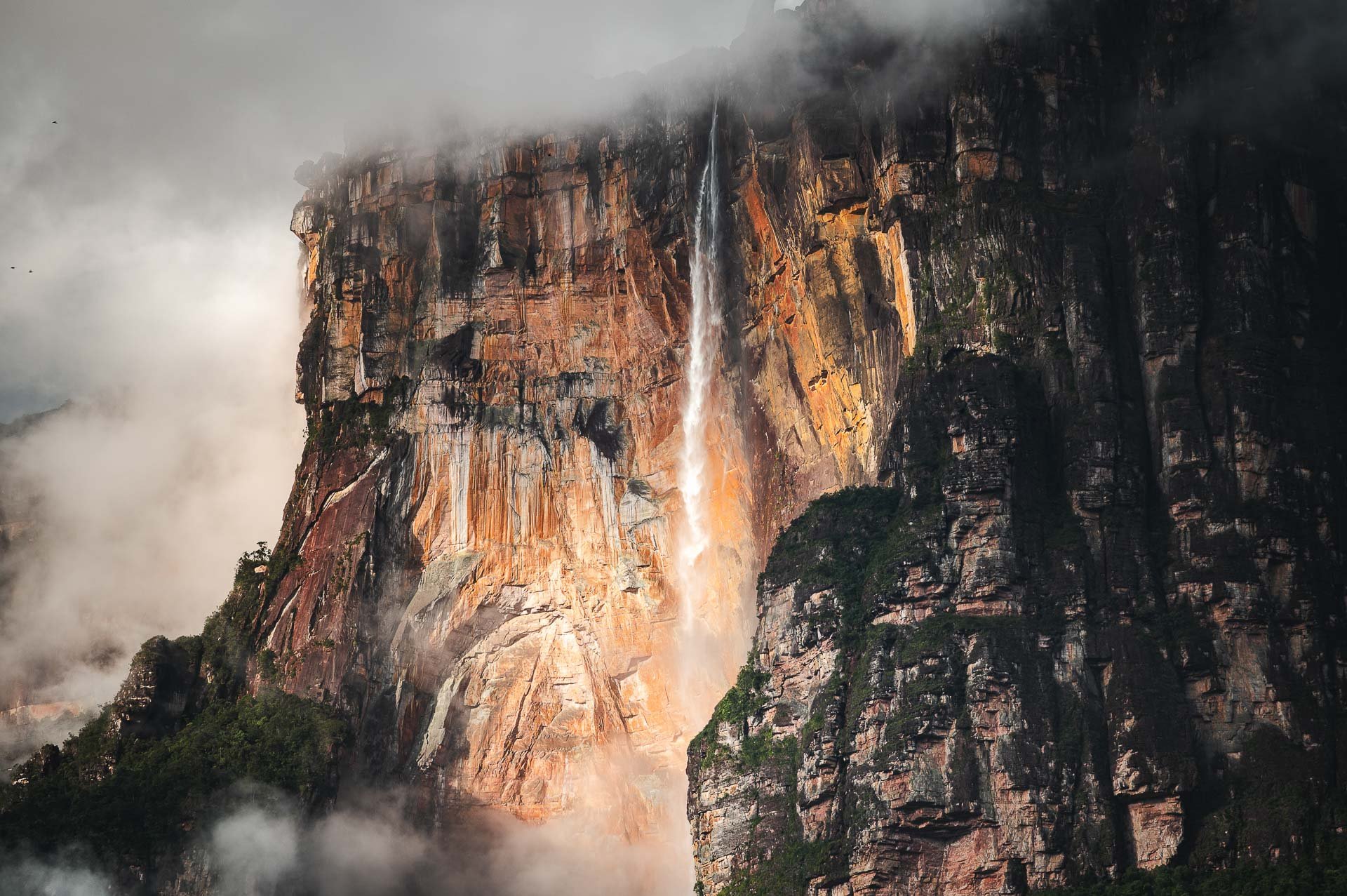 Venezuela Yngwie Scheerlinck Yngwix-42.jpg