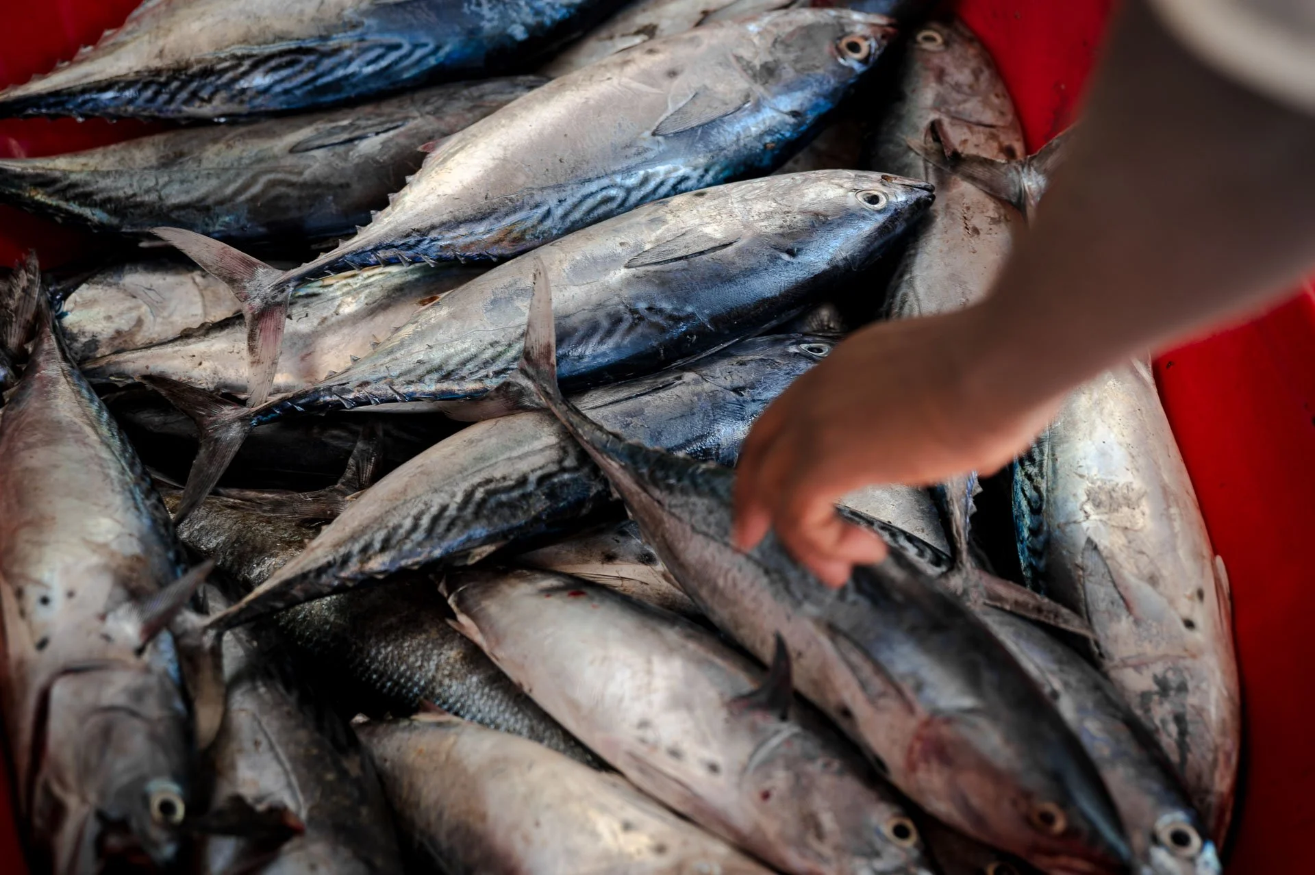 Ethiopia Somaliland Yngwie Scheerlinck Yngwix-246.jpg