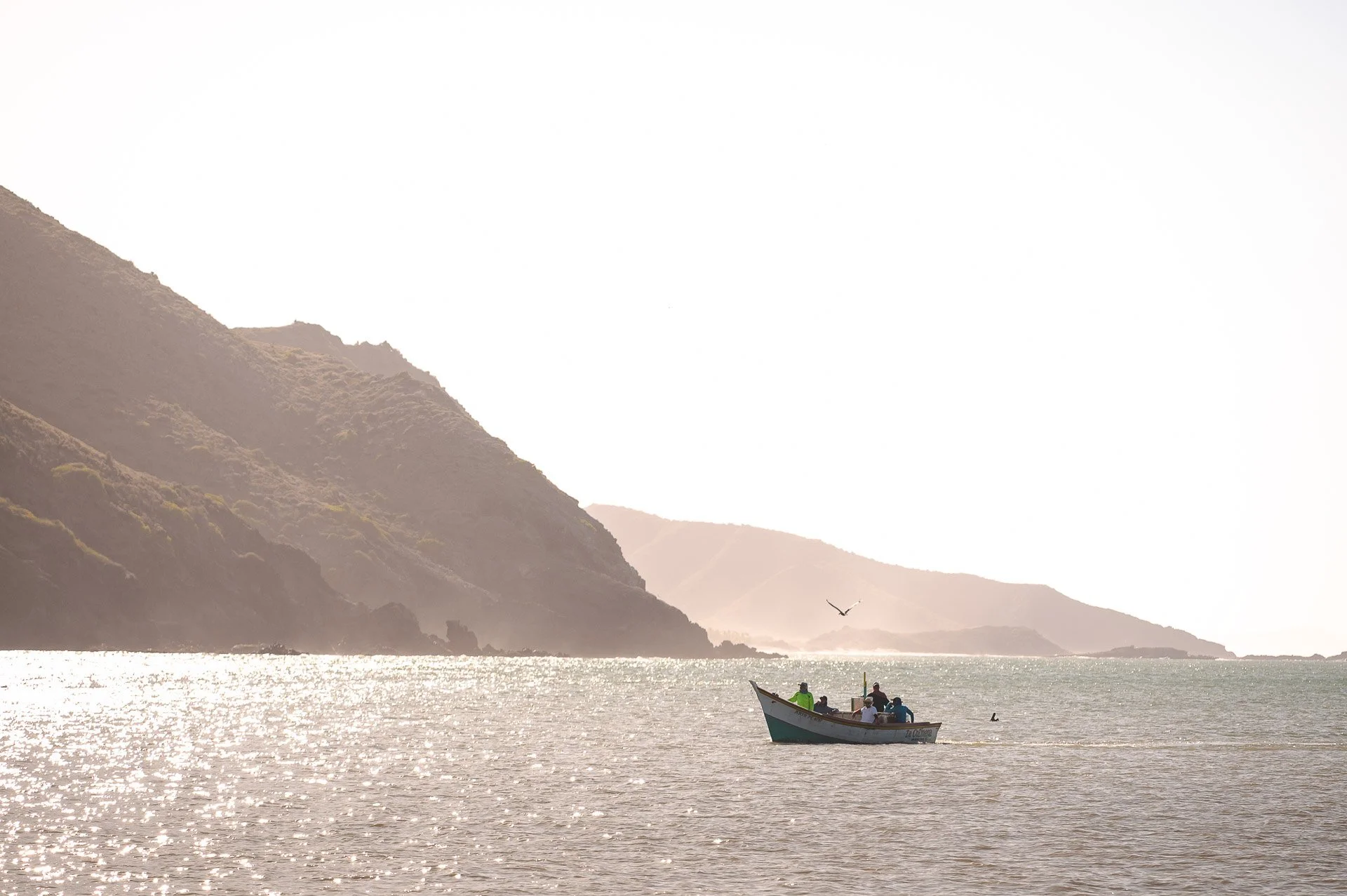 Venezuela Yngwie Scheerlinck Yngwix-19.jpg