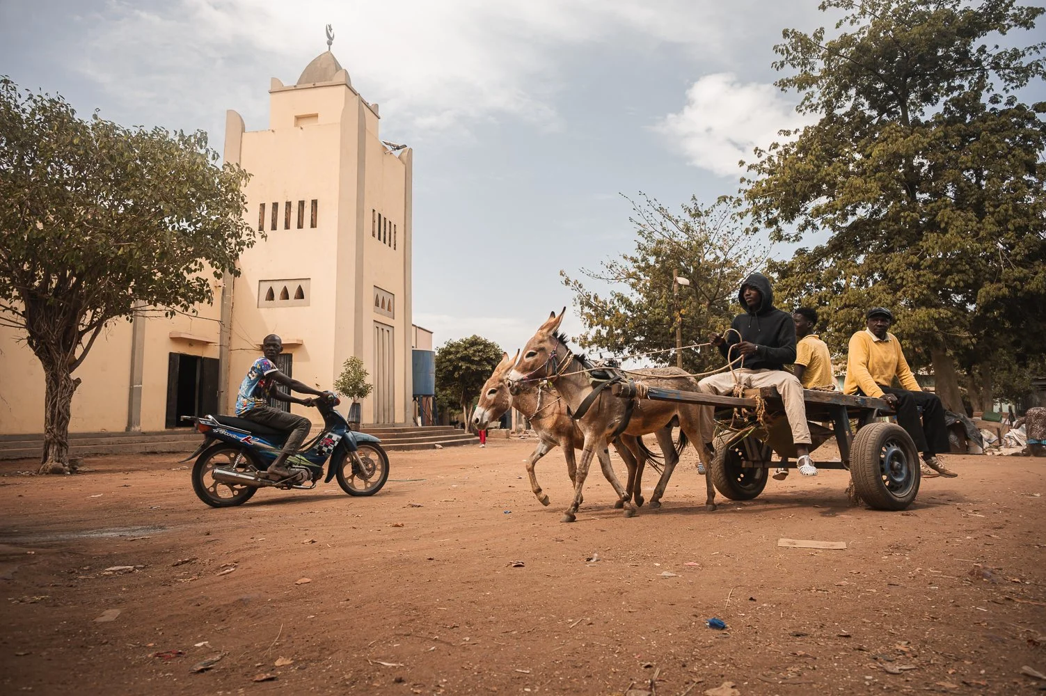 Mali Yngwie Scheerlinck Lupine Travel-176.jpg