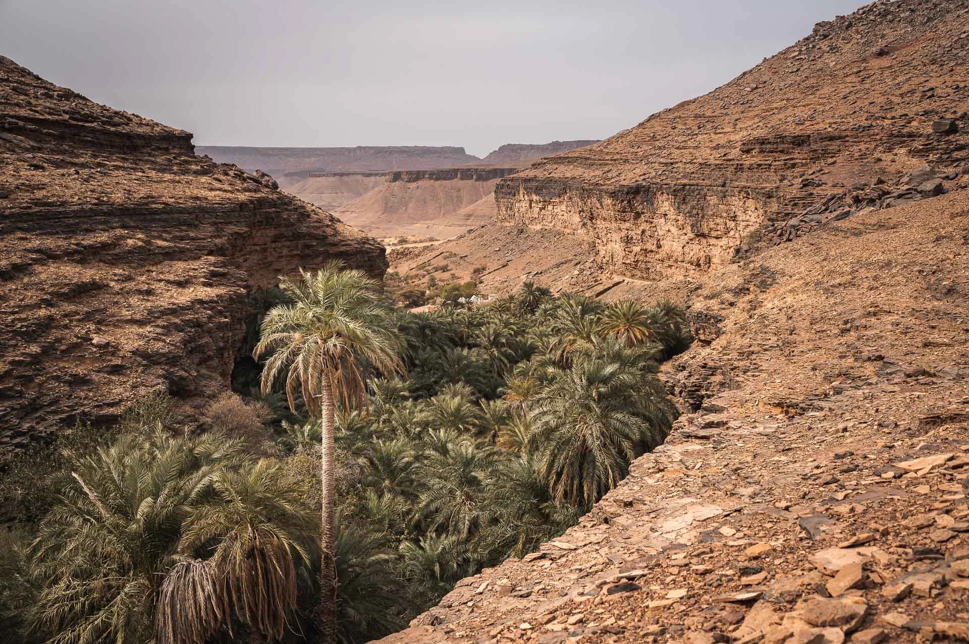 Mauritania Yngwie Scheerlinck Yngwix-42.jpg