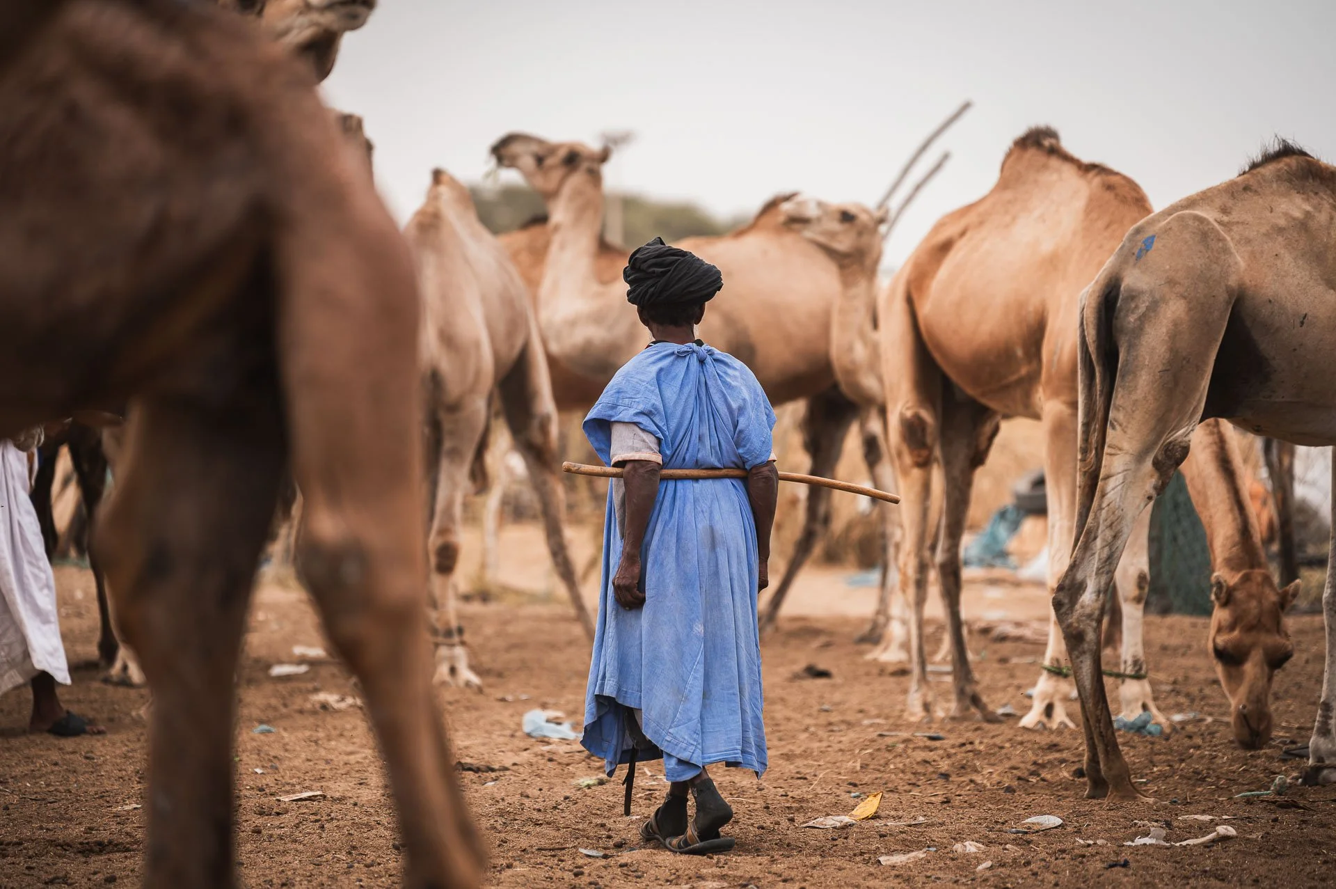 Mauritania Yngwie Scheerlinck Yngwix-14.jpg