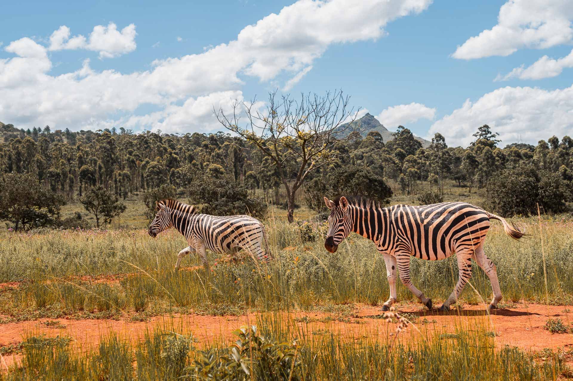 lesotho Yngwie Scheerlinck Yngwix-15.jpg