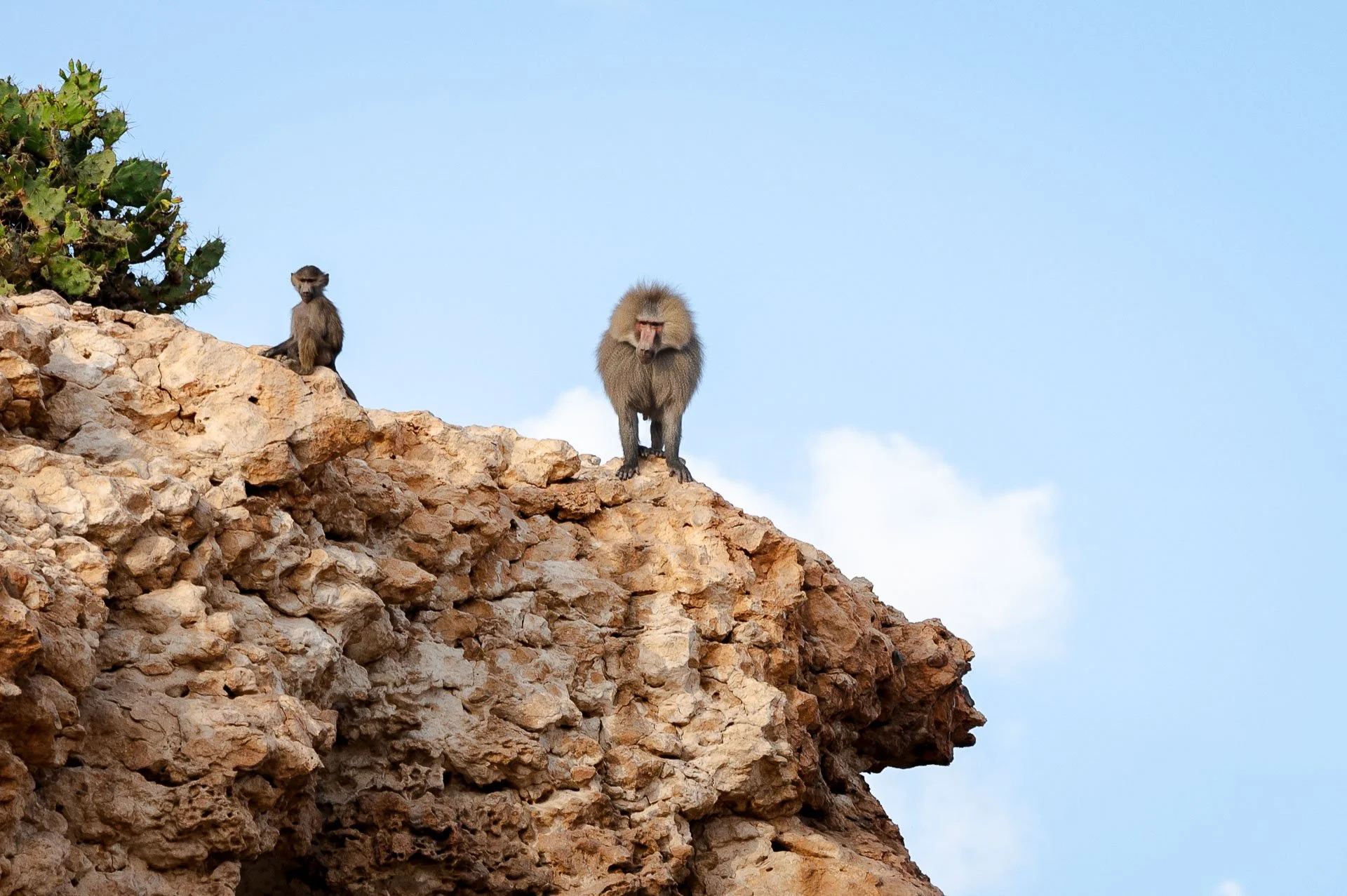 Ethiopia Somaliland Yngwie Scheerlinck Yngwix-205.jpg