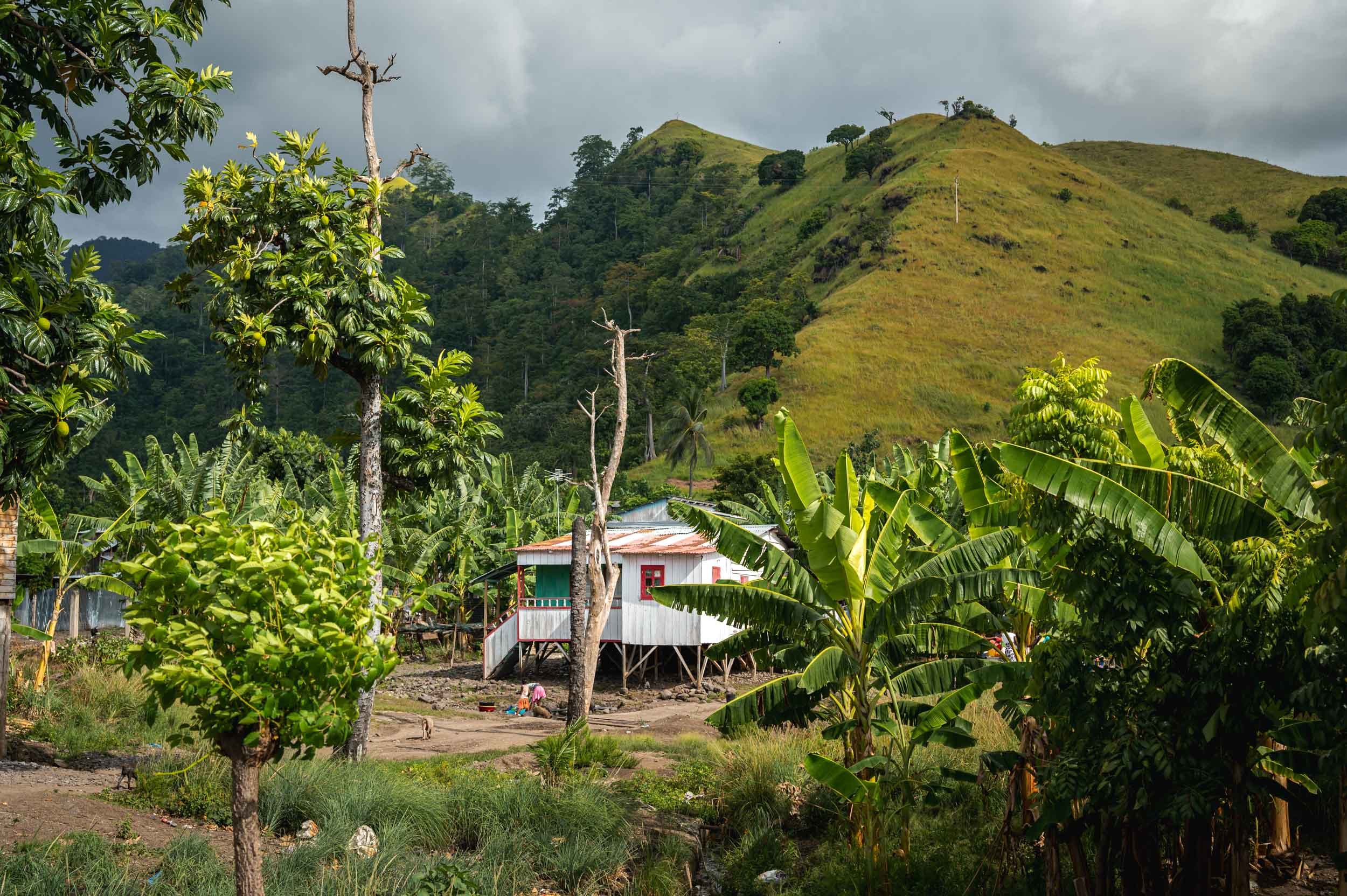 Sao Tome and Principe Yngwie Scheerlinck yngwix-252.jpg