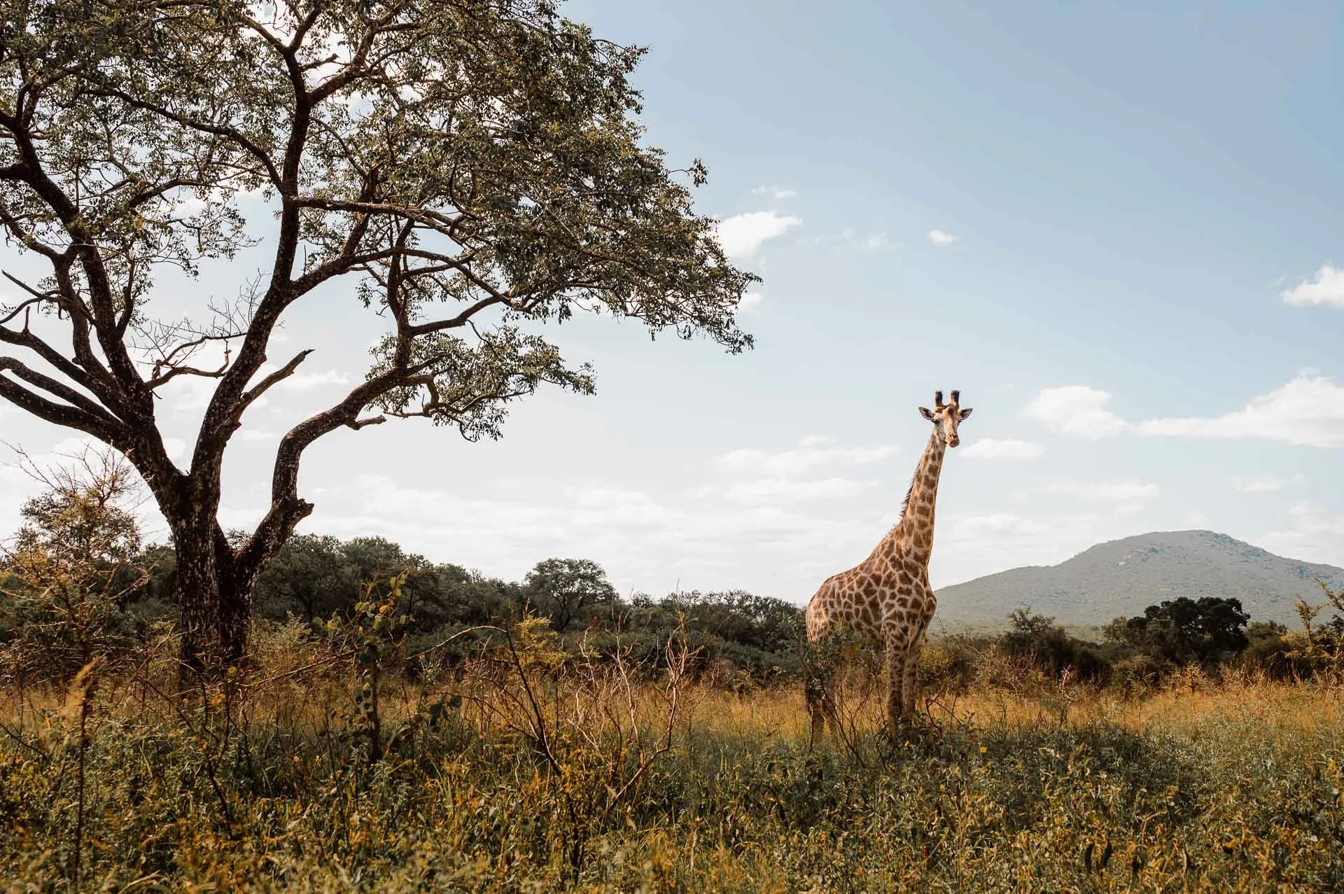 lesotho Yngwie Scheerlinck Yngwix-21.jpg