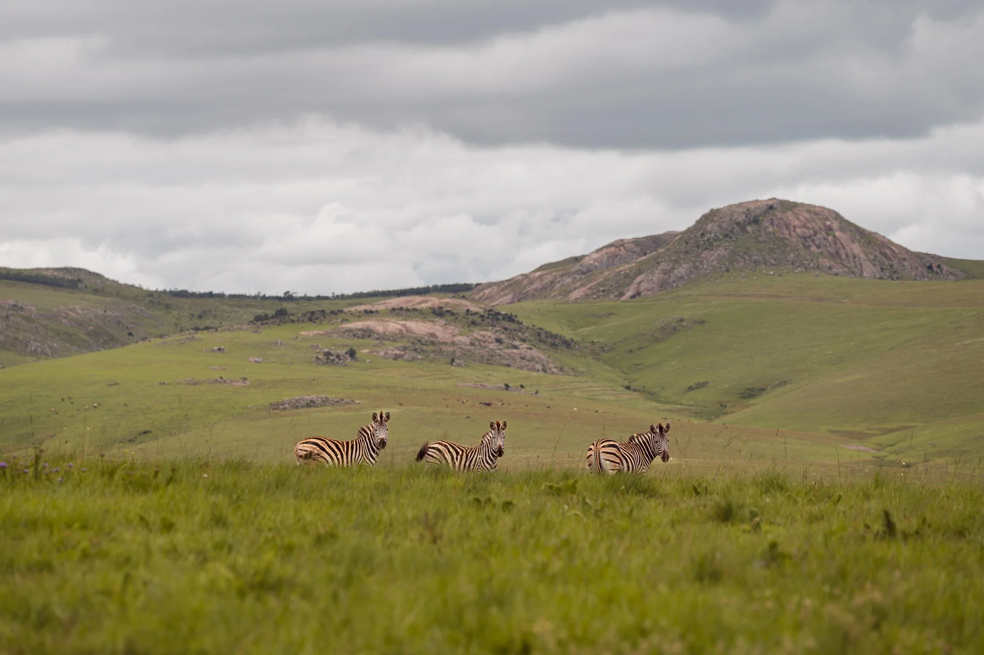 lesotho Yngwie Scheerlinck Yngwix-10.jpg