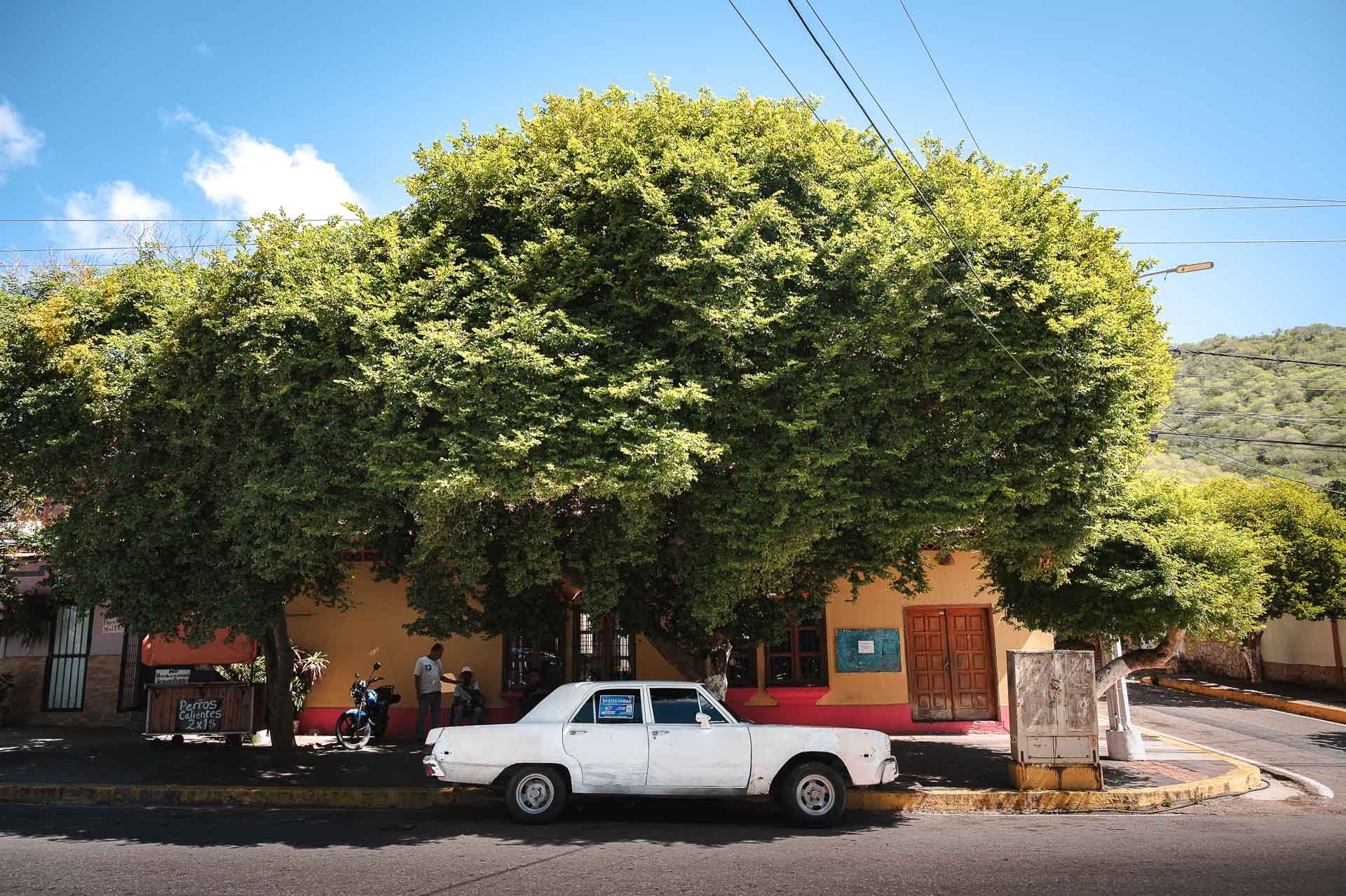 Venezuela Yngwie Scheerlinck Yngwix-3.jpg