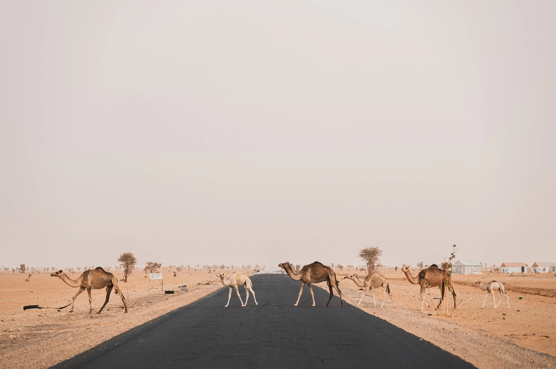 Mauritania Yngwie Scheerlinck Yngwix-15.jpg