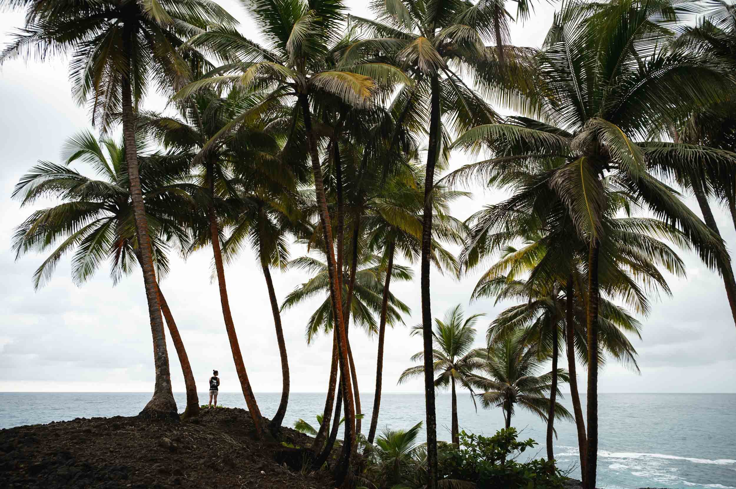 Sao Tome and Principe Yngwie Scheerlinck yngwix-632.jpg