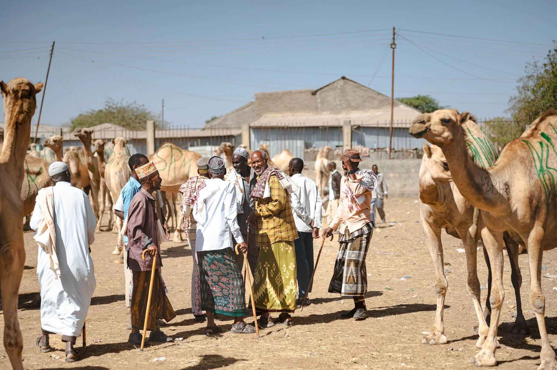 Ethiopia Somaliland Yngwie Scheerlinck Yngwix-181.jpg
