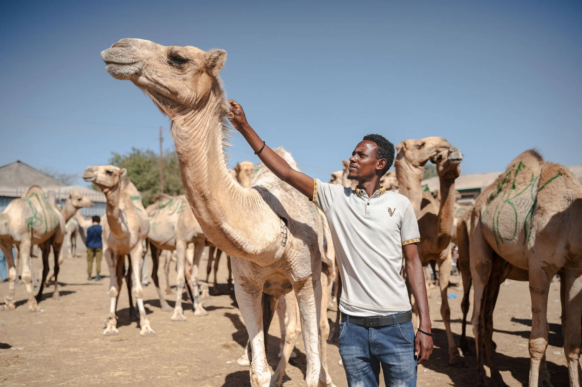 Ethiopia Somaliland Yngwie Scheerlinck Yngwix-180.jpg