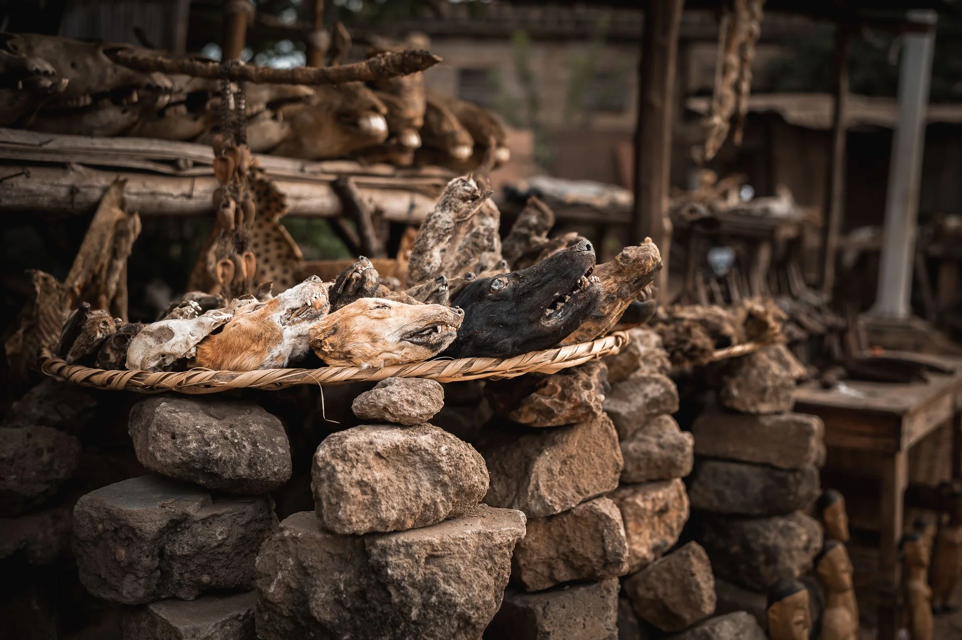 Togo Benin Yngwie Scheerlinck Yngwix-12.jpg