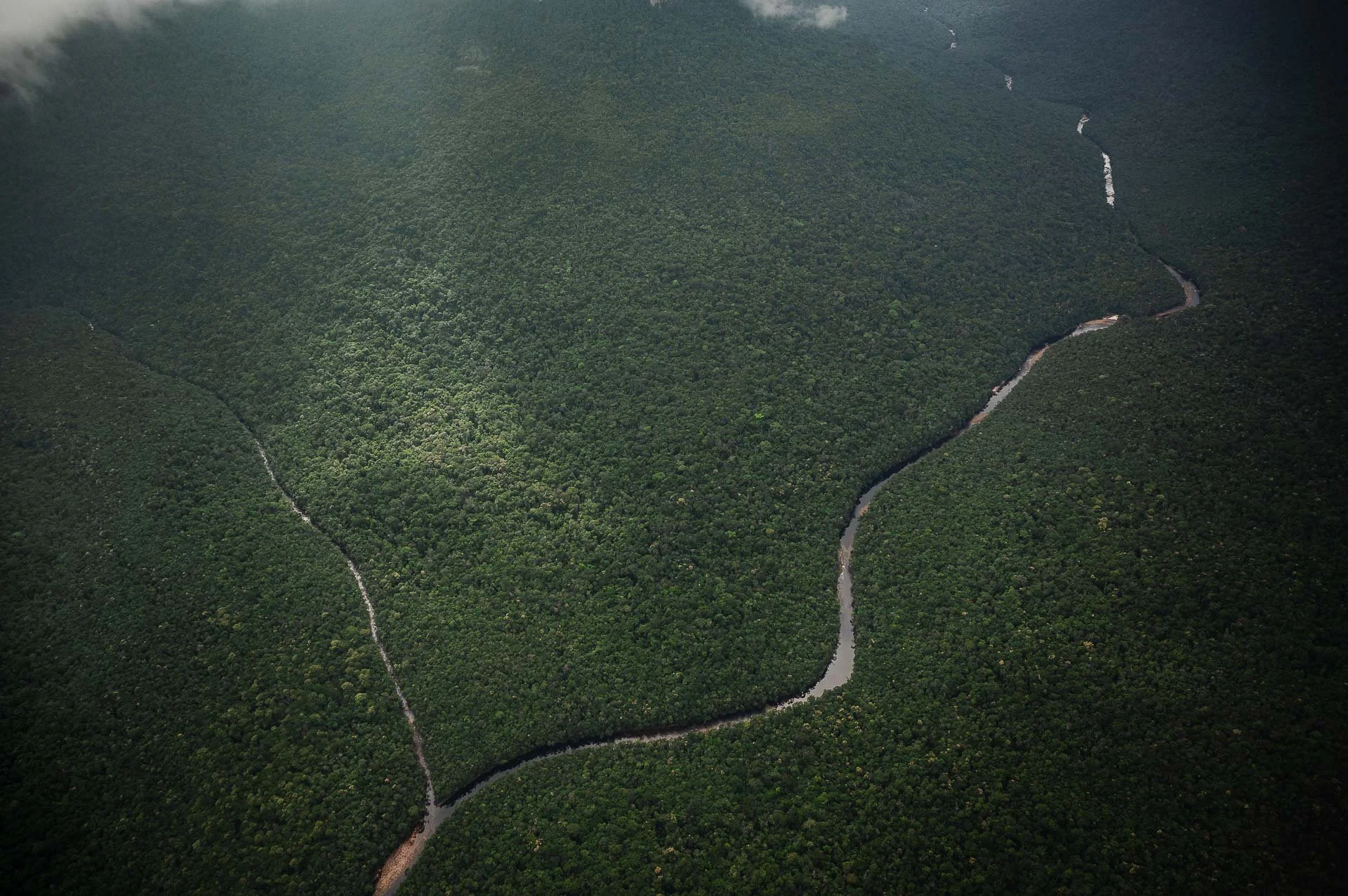 Venezuela Yngwie Scheerlinck Yngwix-51.jpg