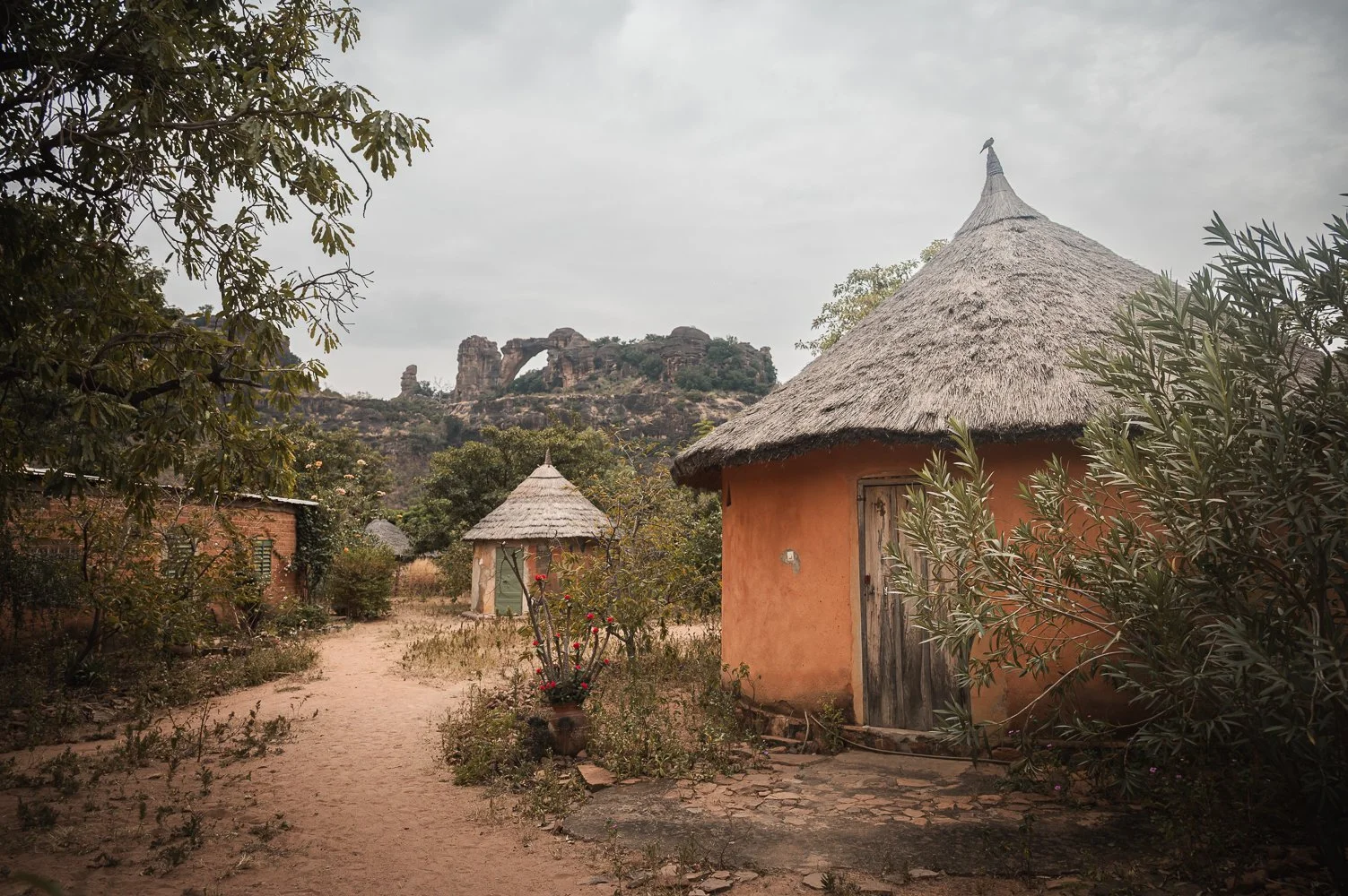 Mali Yngwie Scheerlinck Lupine Travel-95.jpg