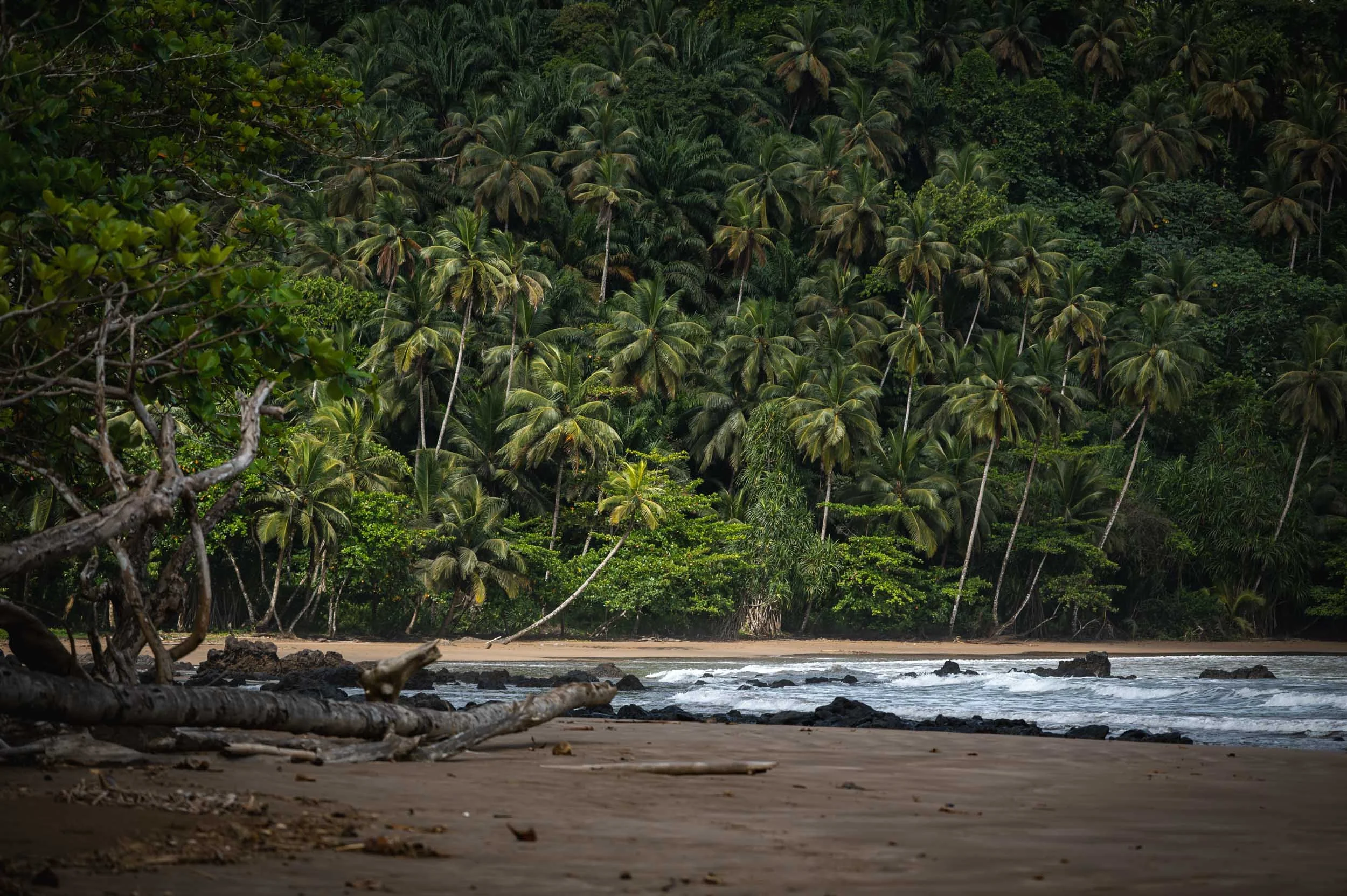 Sao Tome and Principe Yngwie Scheerlinck yngwix-139.jpg