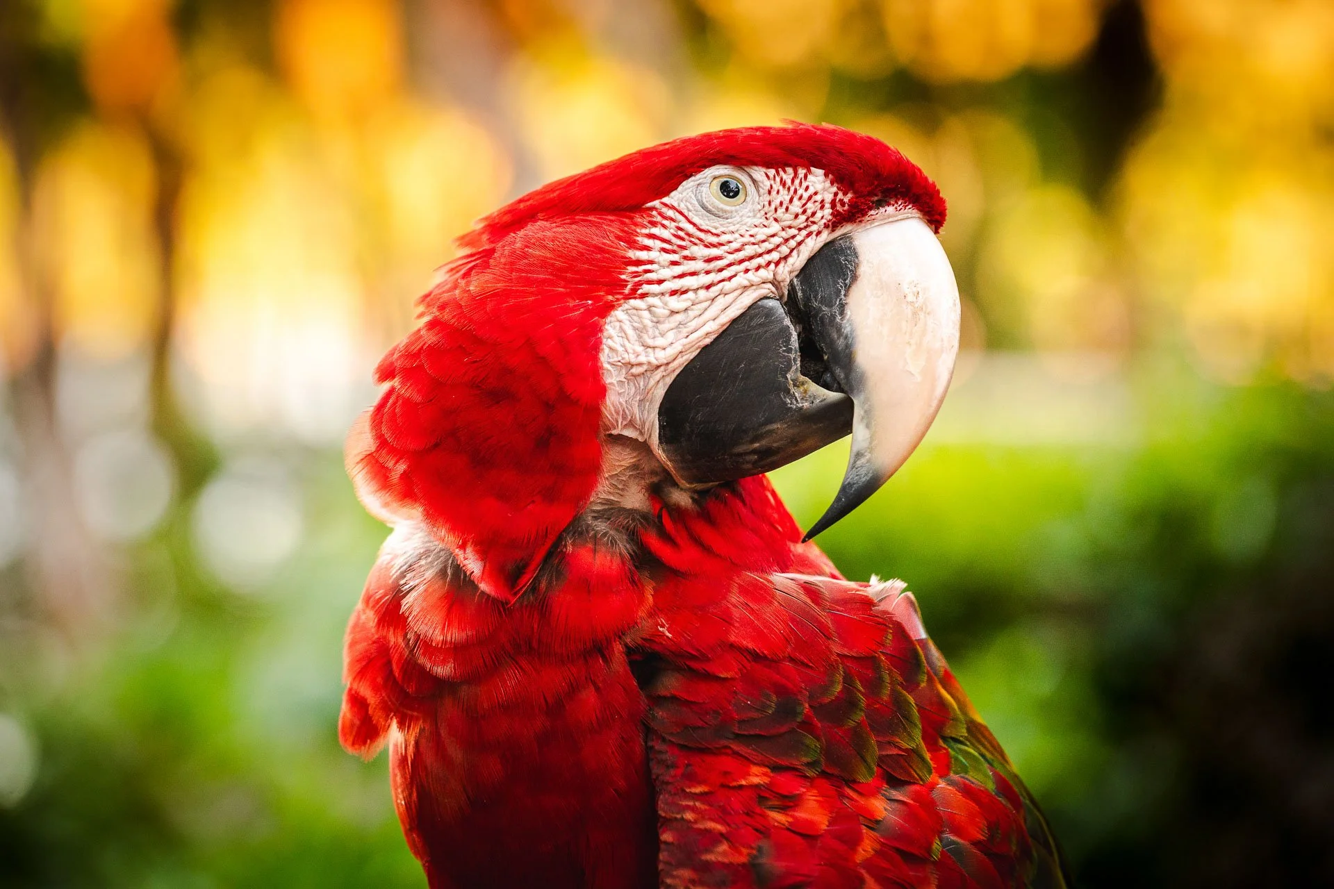 Venezuela Yngwie Scheerlinck Yngwix-62.jpg