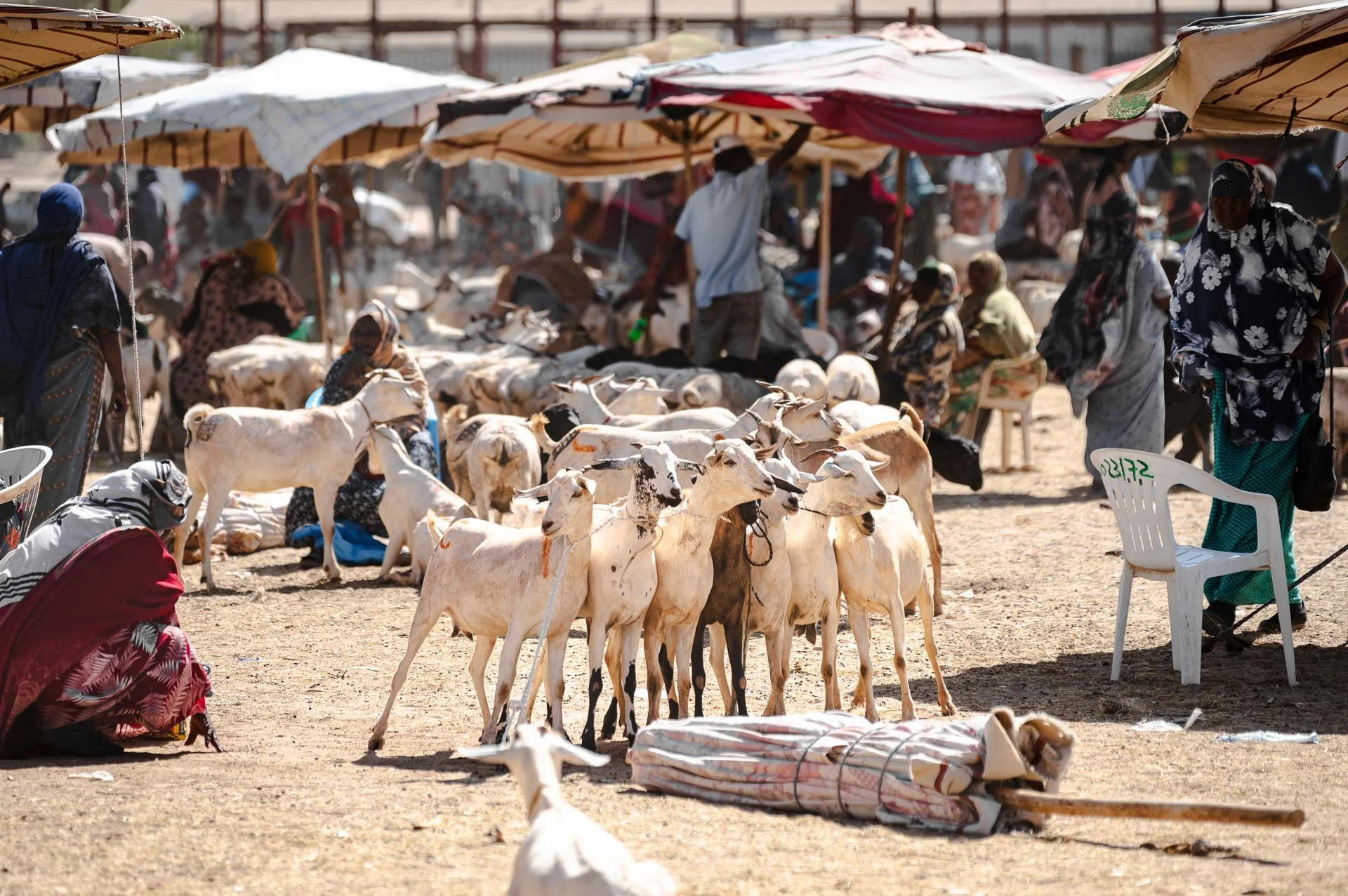 Ethiopia Somaliland Yngwie Scheerlinck Yngwix-183.jpg