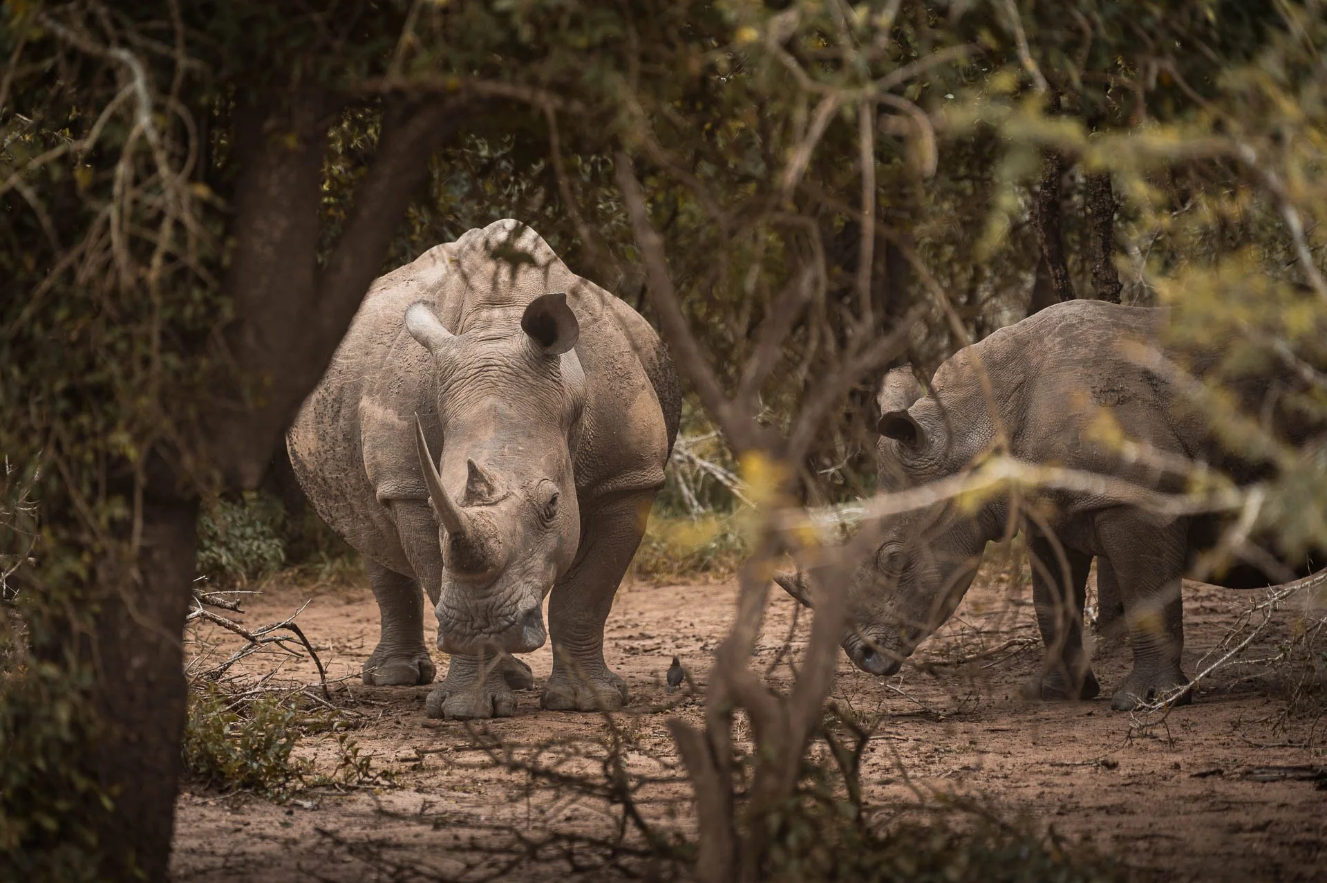 lesotho Yngwie Scheerlinck Yngwix-27.jpg