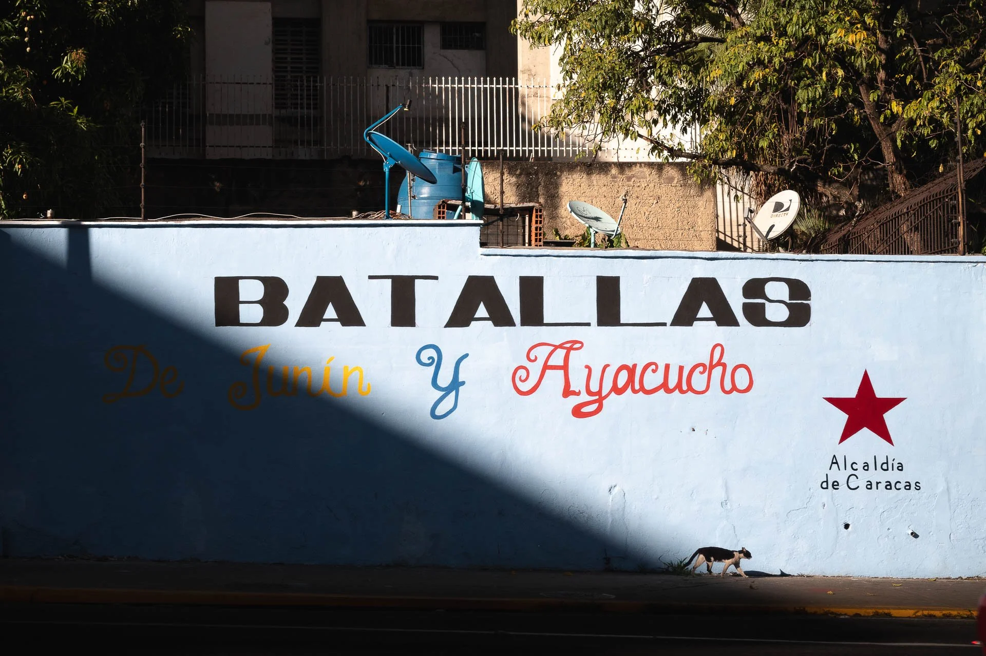 Venezuela Yngwie Scheerlinck Yngwix-109.jpg