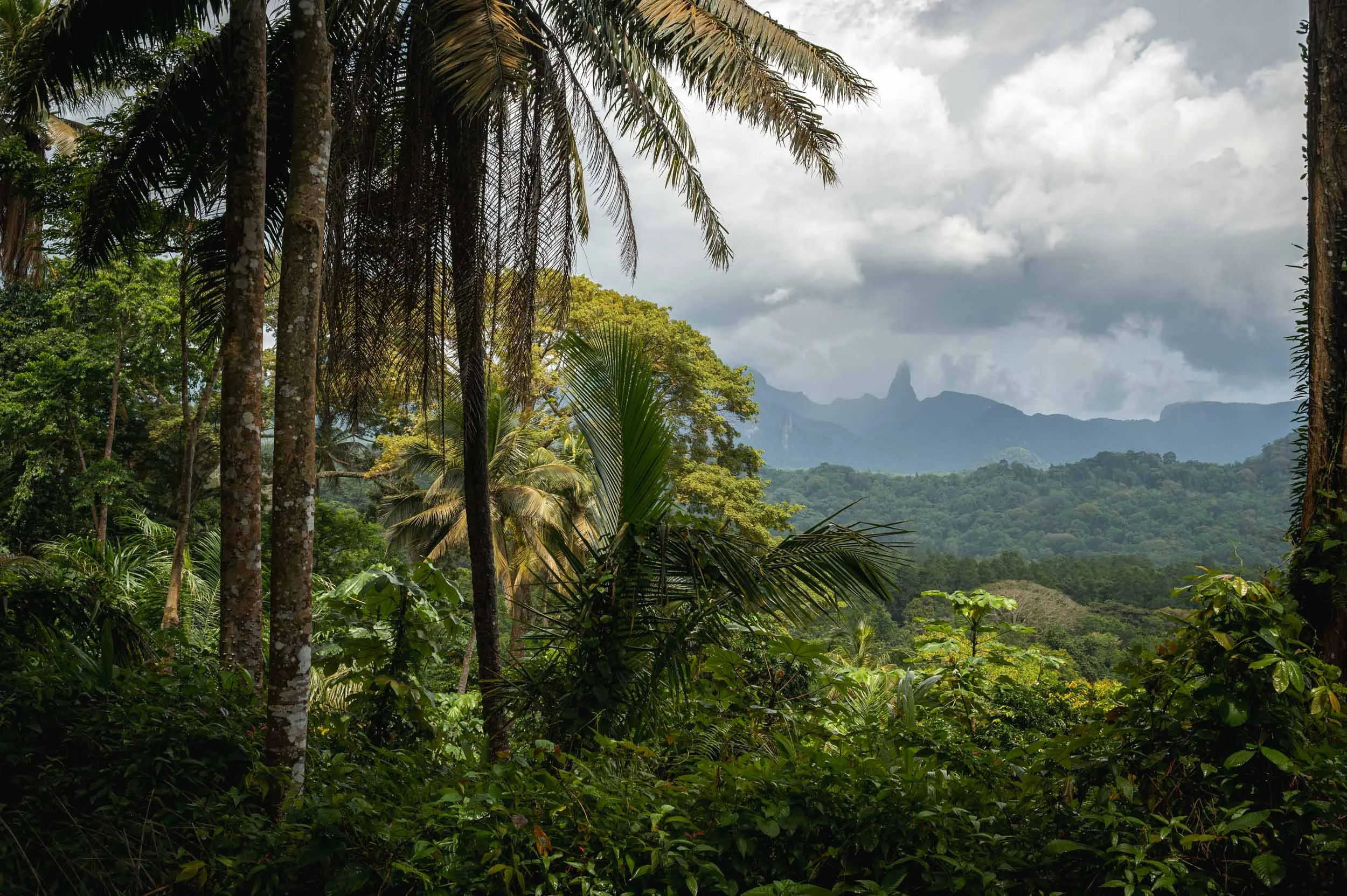 Sao Tome and Principe Yngwie Scheerlinck yngwix-535.jpg