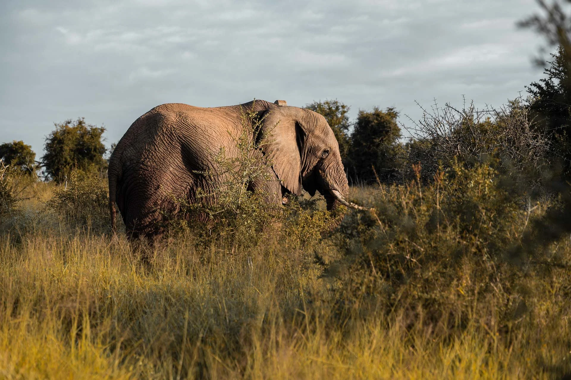 lesotho Yngwie Scheerlinck Yngwix-25.jpg