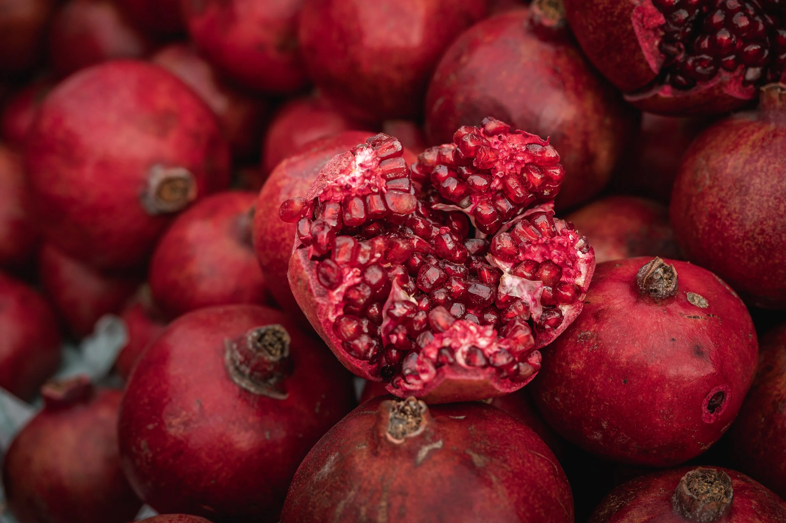 Afghanistan Yngwie Scheerlinck Yngwix Lupine Travel-122.jpg