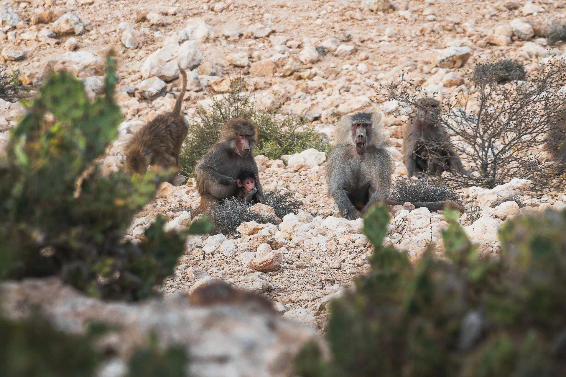 Ethiopia Somaliland Yngwie Scheerlinck Yngwix-207.jpg