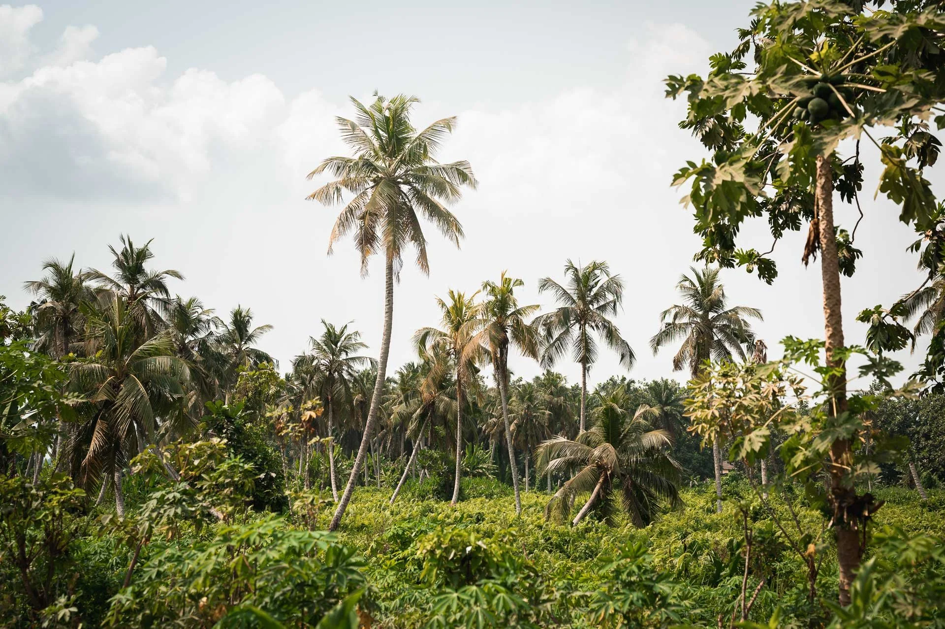 Togo Benin Yngwie Scheerlinck Yngwix-291.jpg