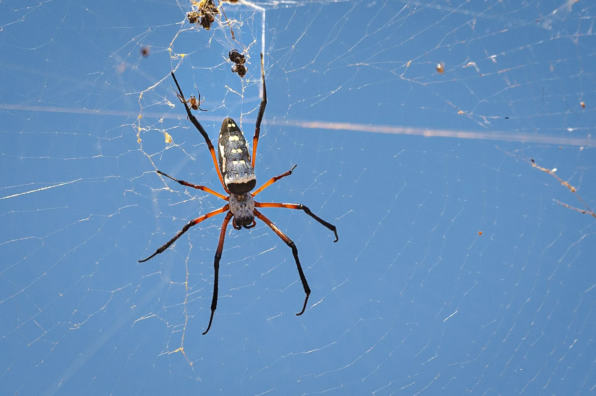 Ethiopia Somaliland Yngwie Scheerlinck Yngwix-217.jpg