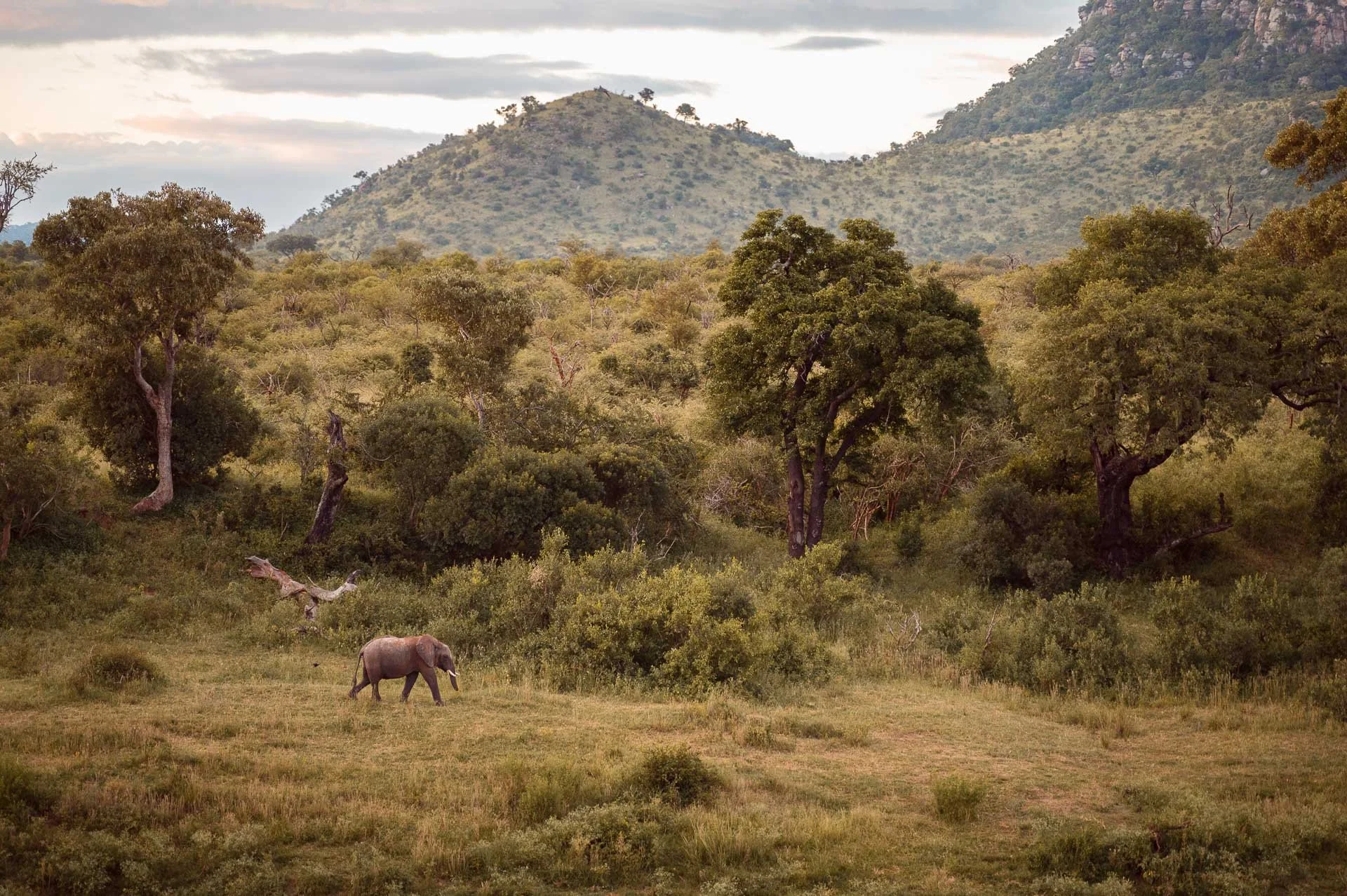lesotho Yngwie Scheerlinck Yngwix-7.jpg
