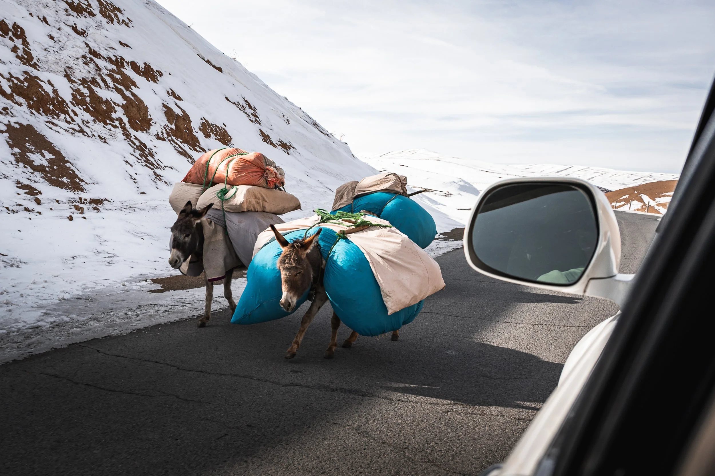 Afghanistan Yngwie Scheerlinck Yngwix Lupine Travel-65.jpg