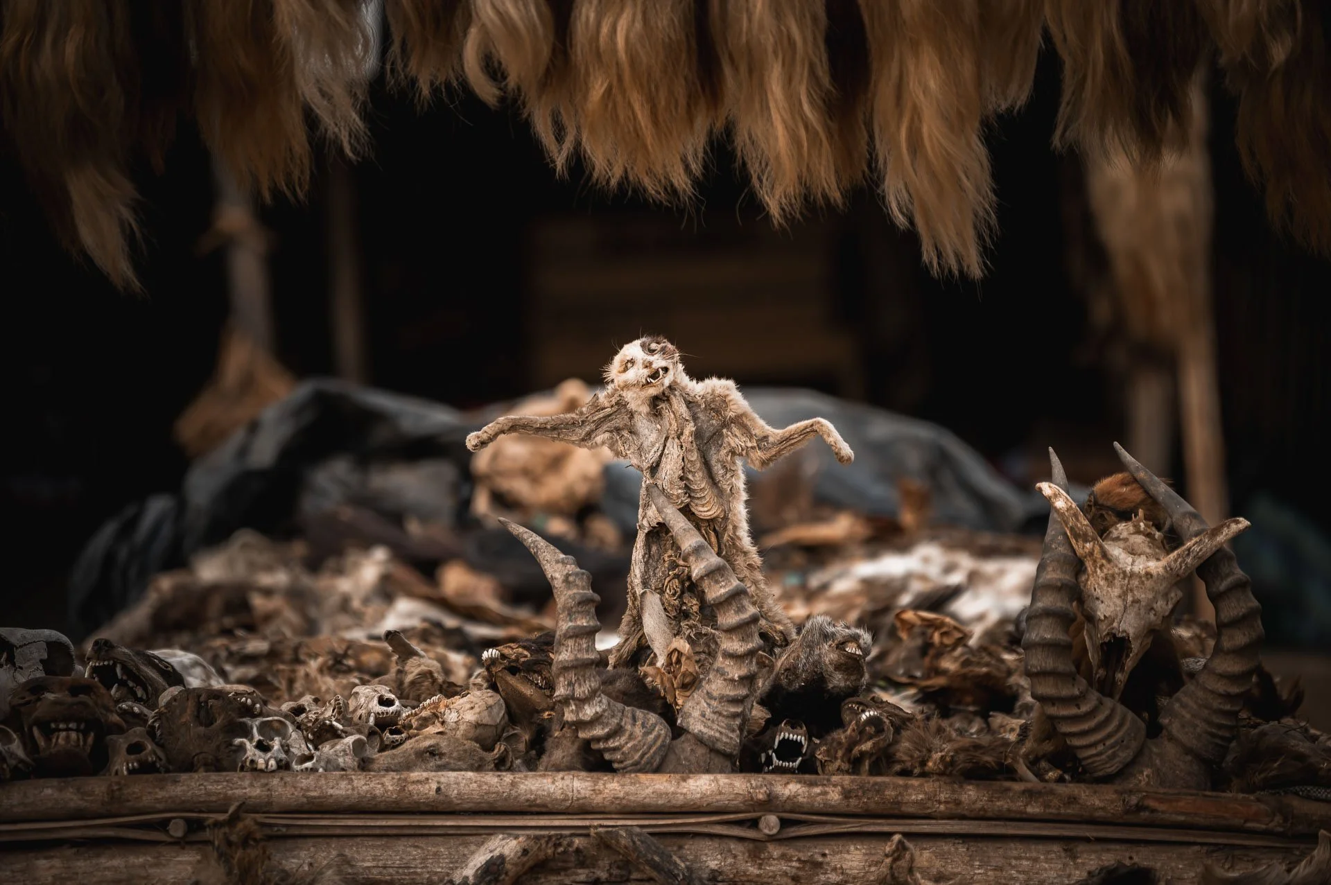 Togo Benin Yngwie Scheerlinck Yngwix-8.jpg